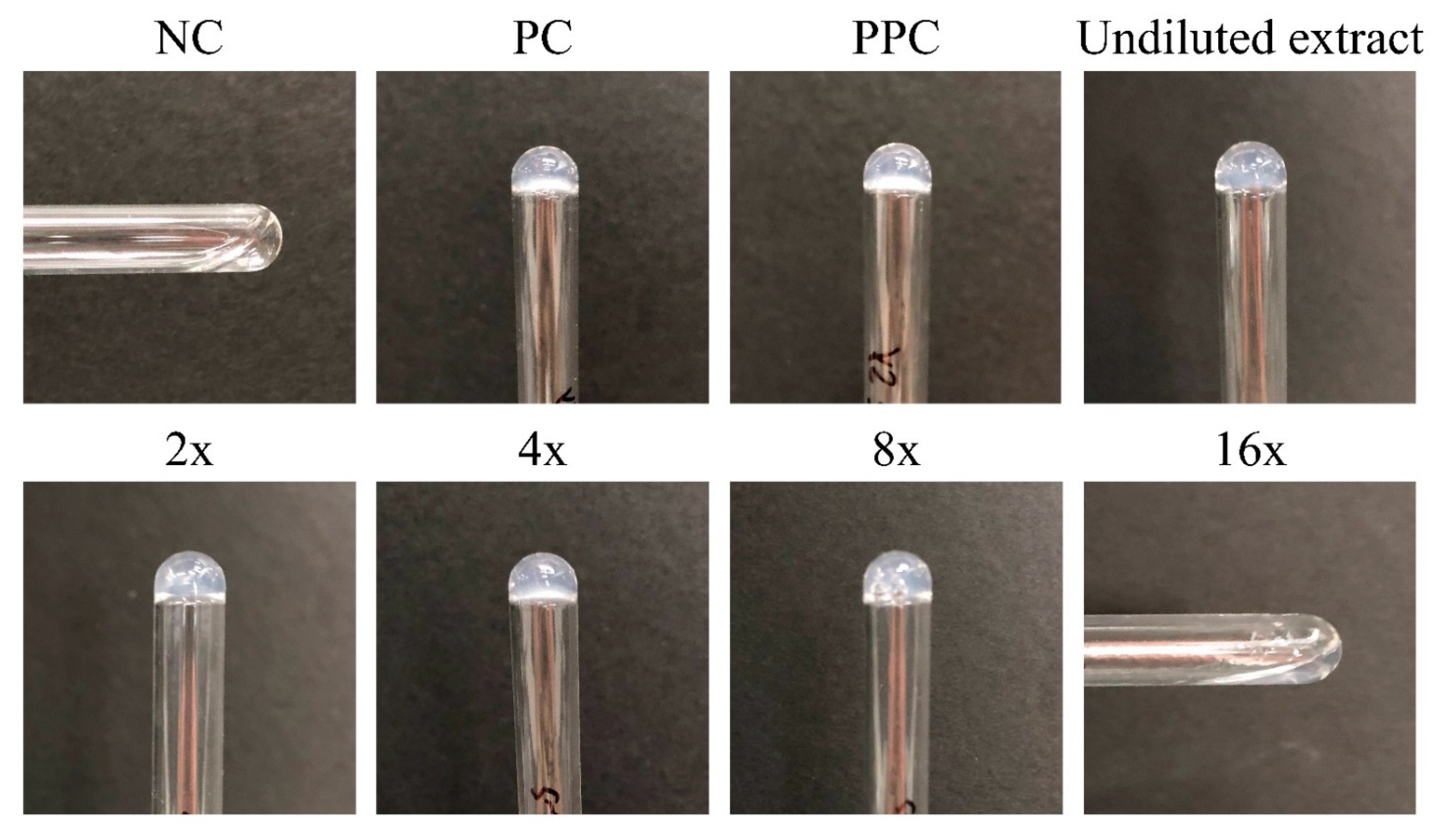 Polymers 13 00938 g005 Polymers 13 00938 g005