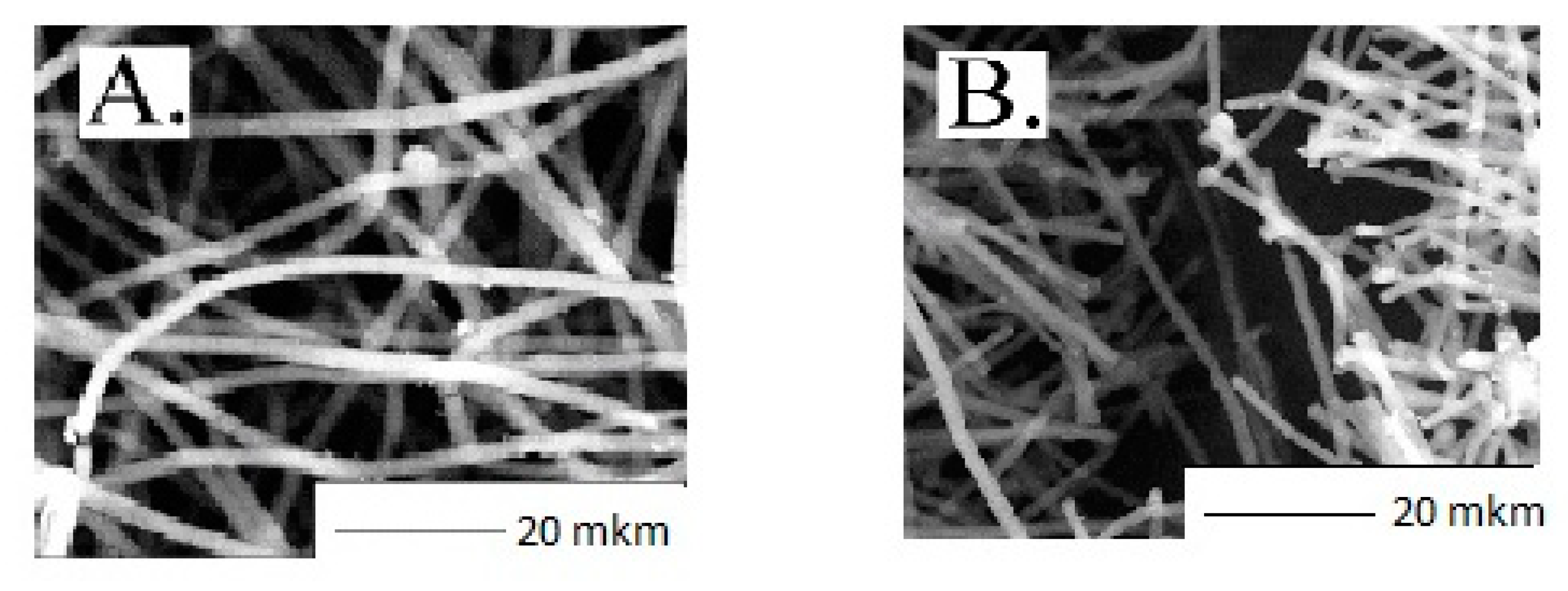 Polymers 13 00941 g003