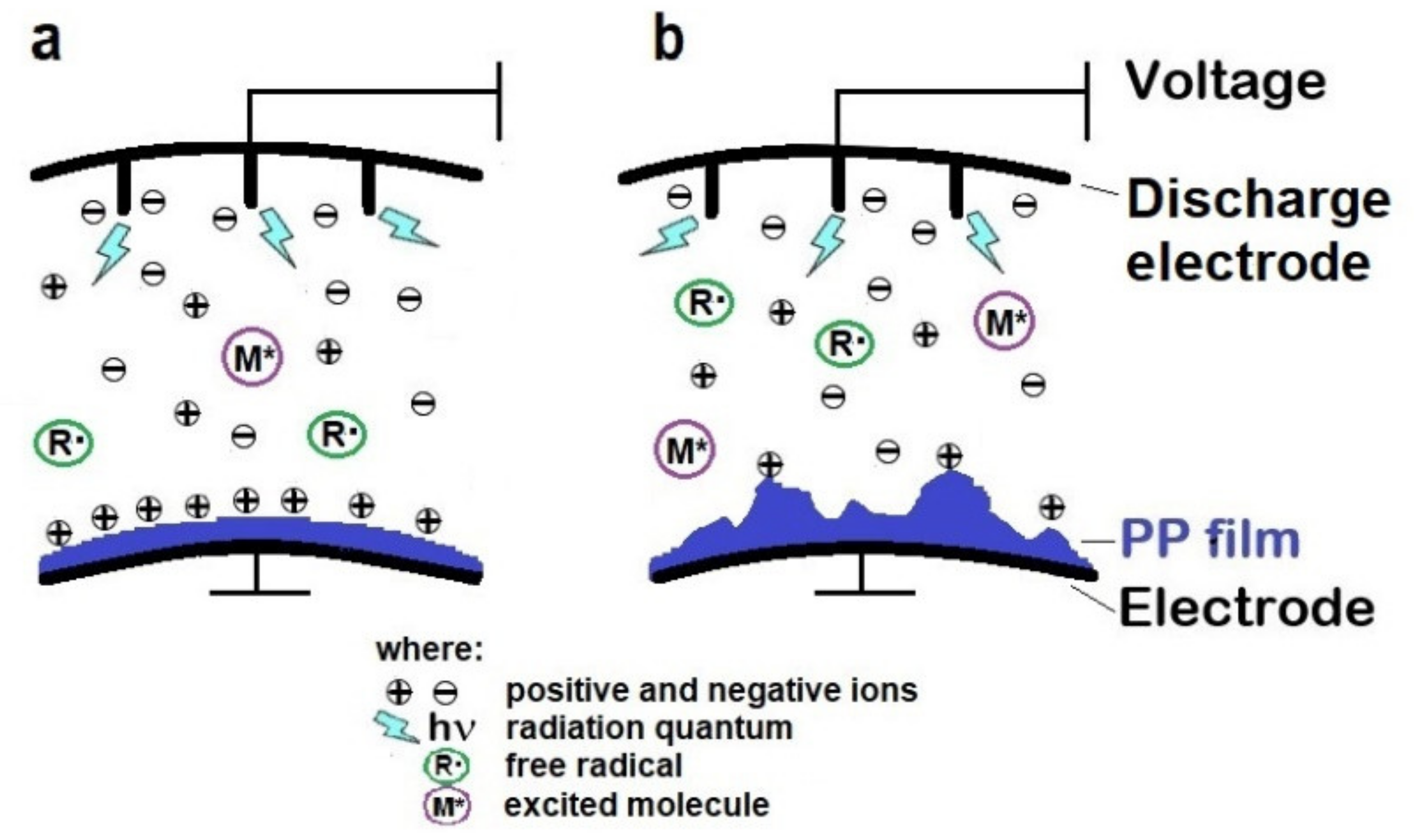 Polymers 13 00942 g003