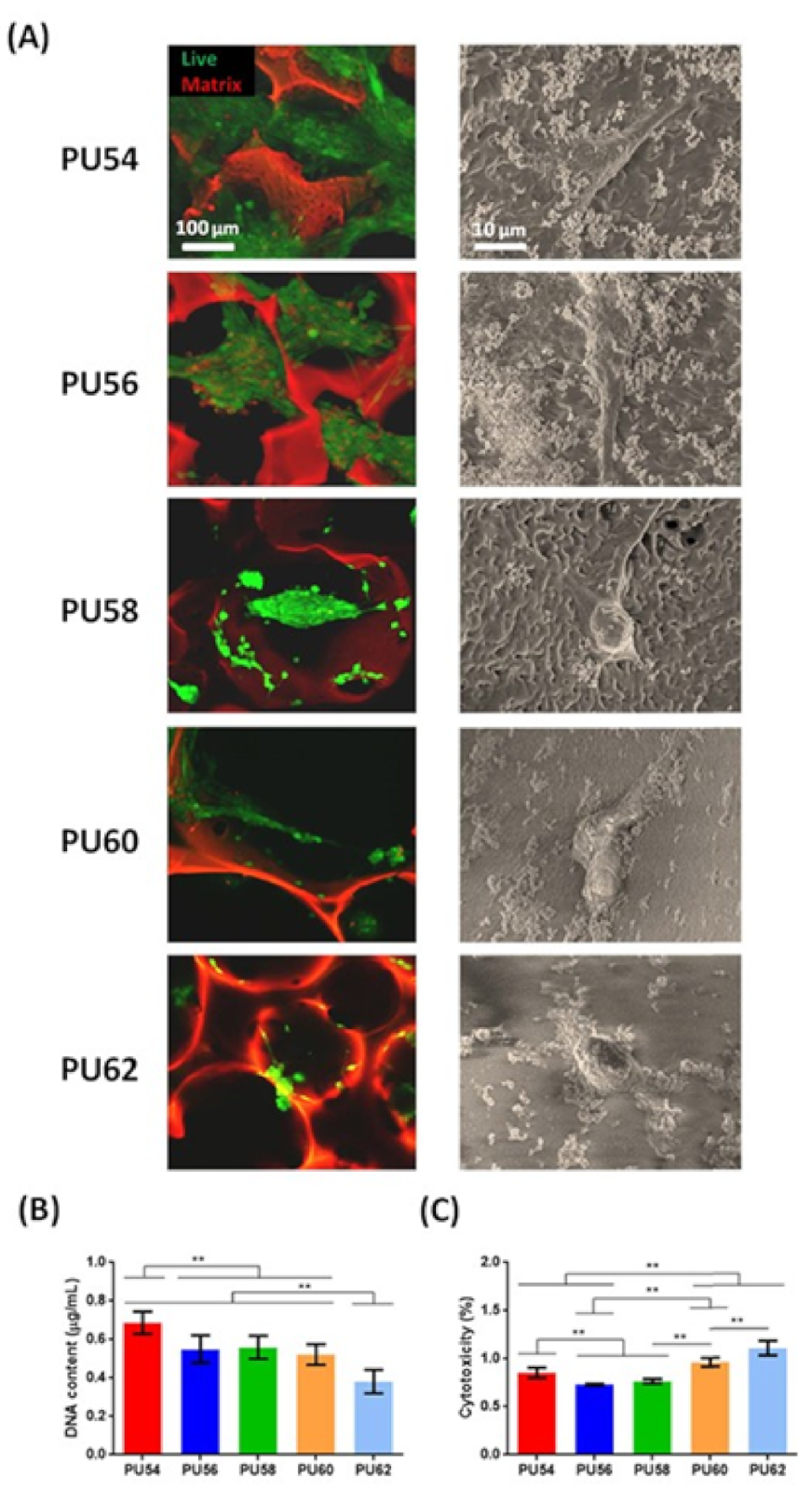 Polymers 13 00946 g003 Polymers 13 00946 g003