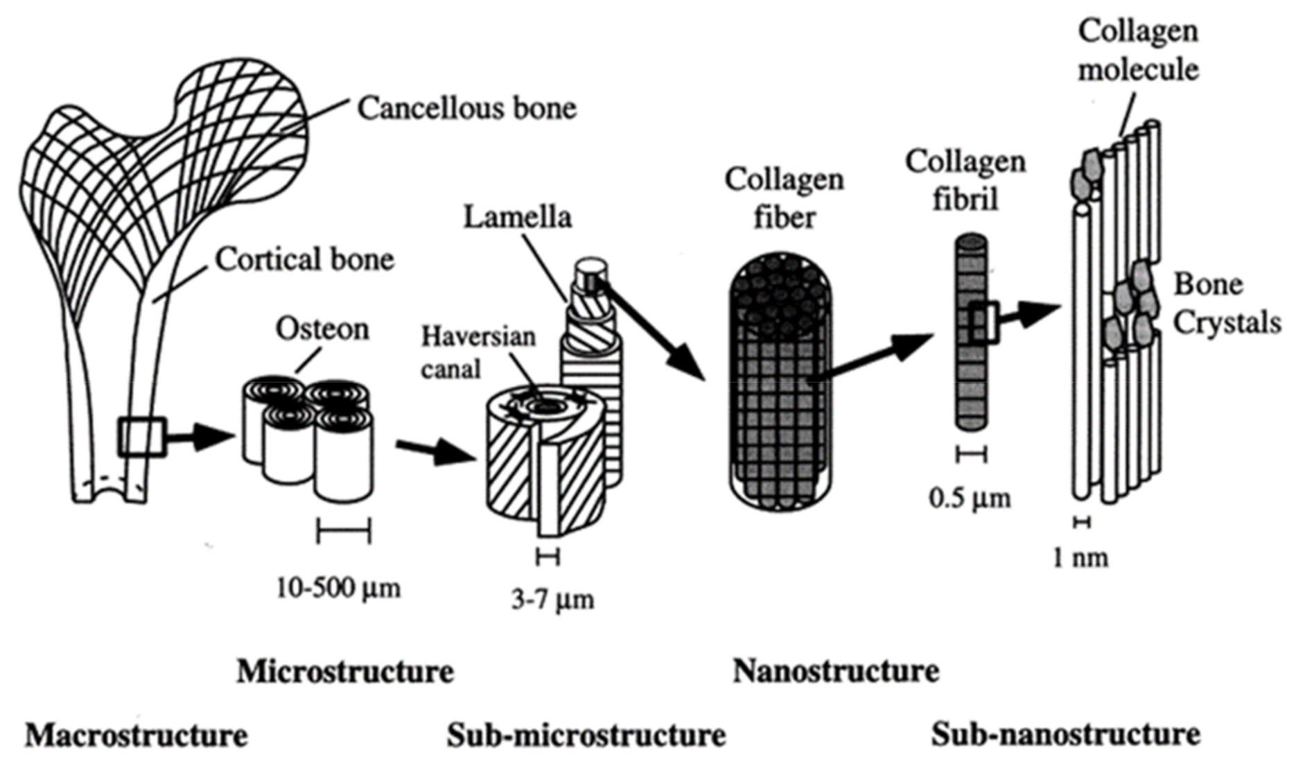 Polymers 13 00946 g004 Polymers 13 00946 g004