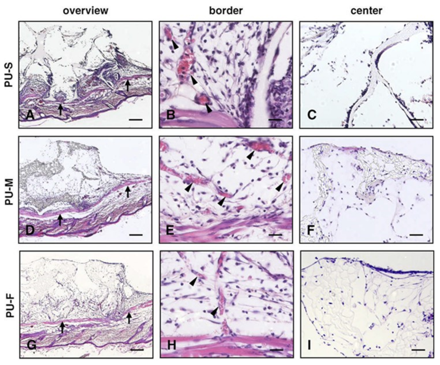 Polymers 13 00946 g005 Polymers 13 00946 g005