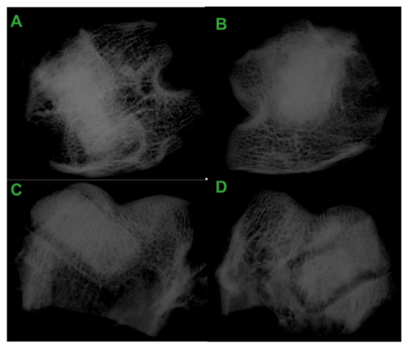 Polymers 13 00946 g008 Polymers 13 00946 g008