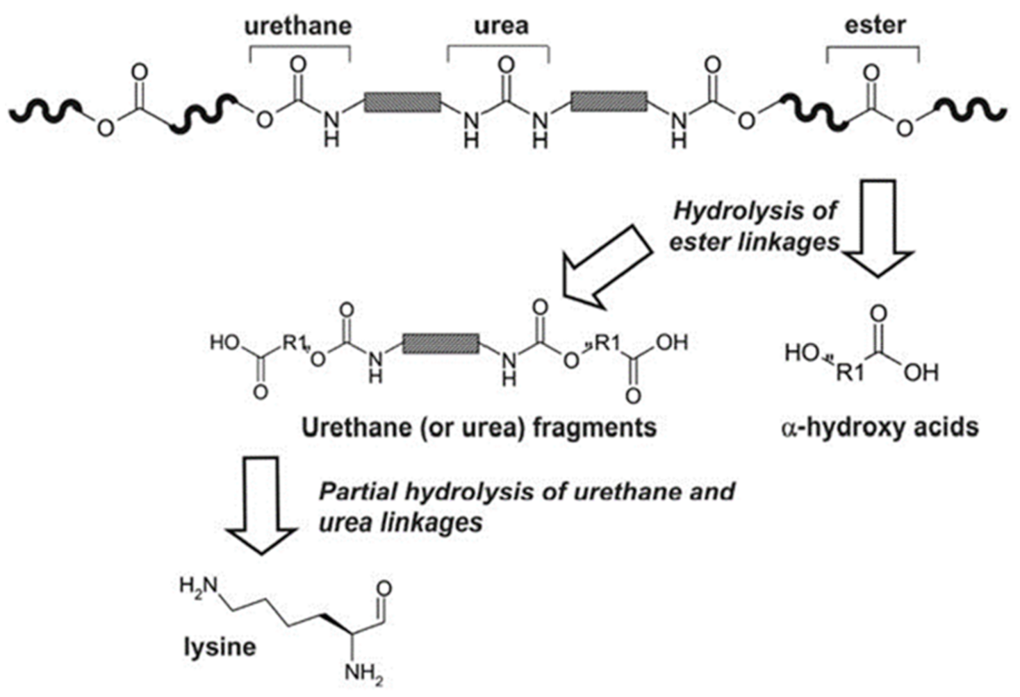 Polymers 13 00946 g012 Polymers 13 00946 g012