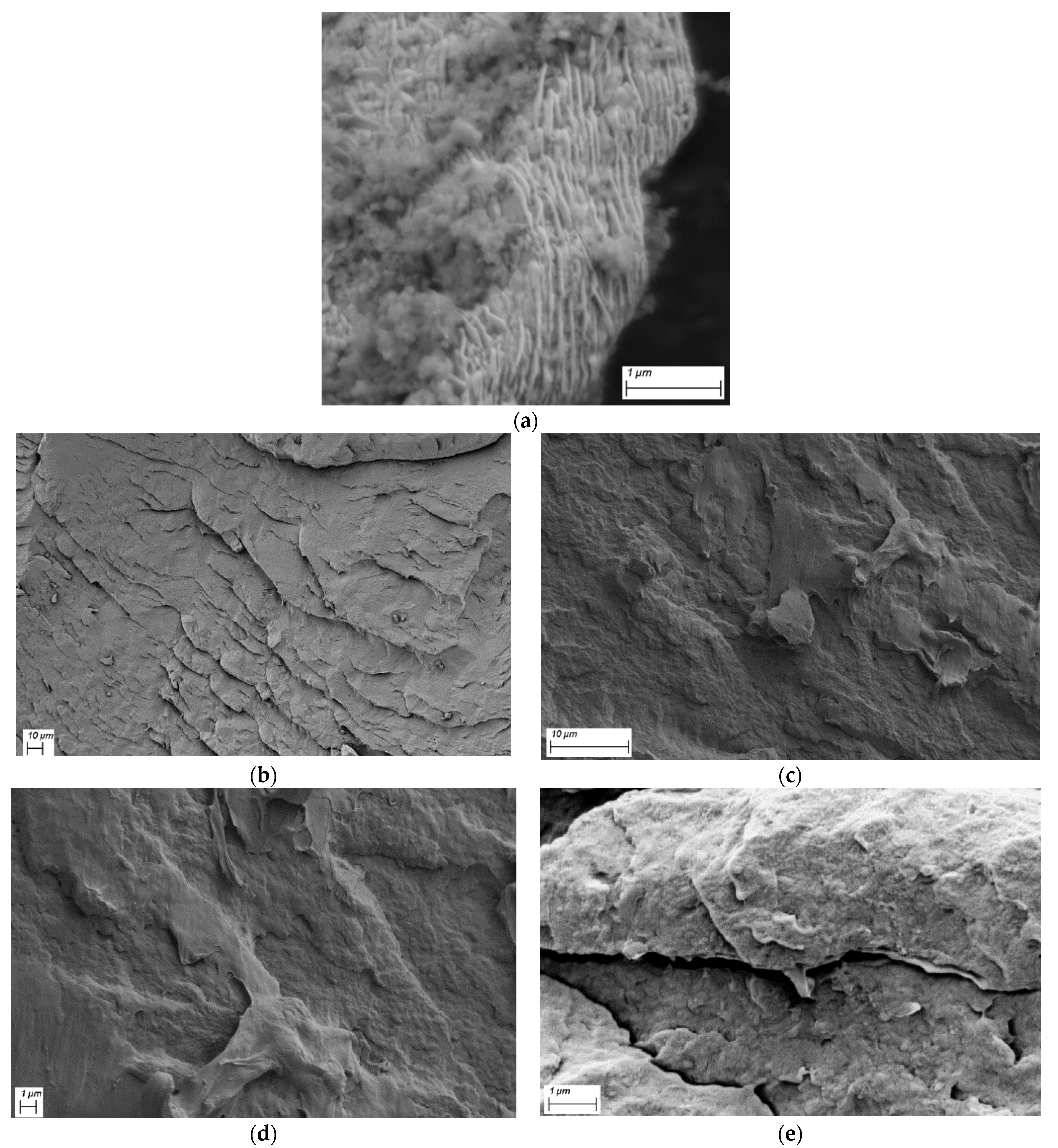 Polymers 13 00949 g017 Polymers 13 00949 g017