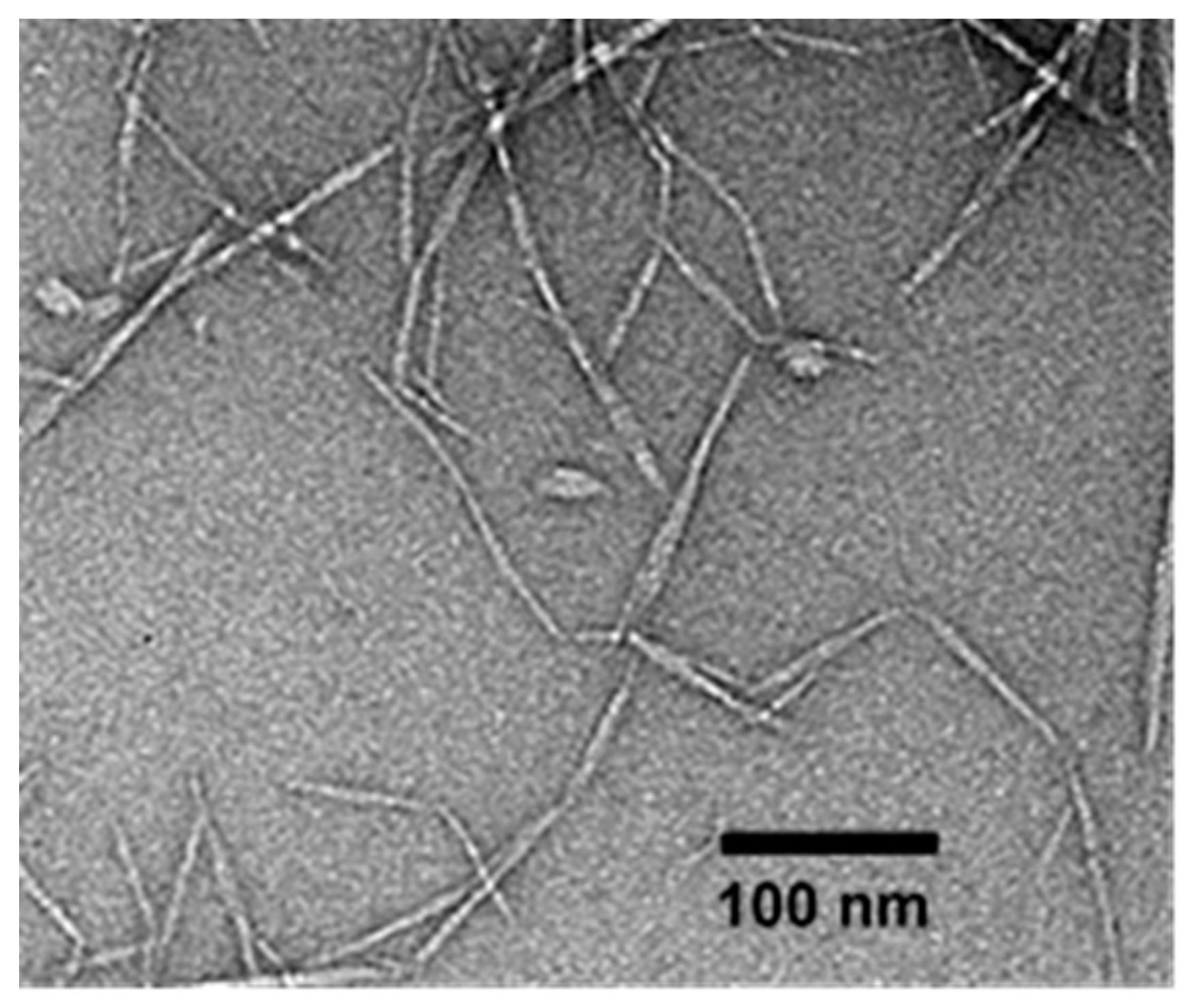 Polymers 13 00951 g001