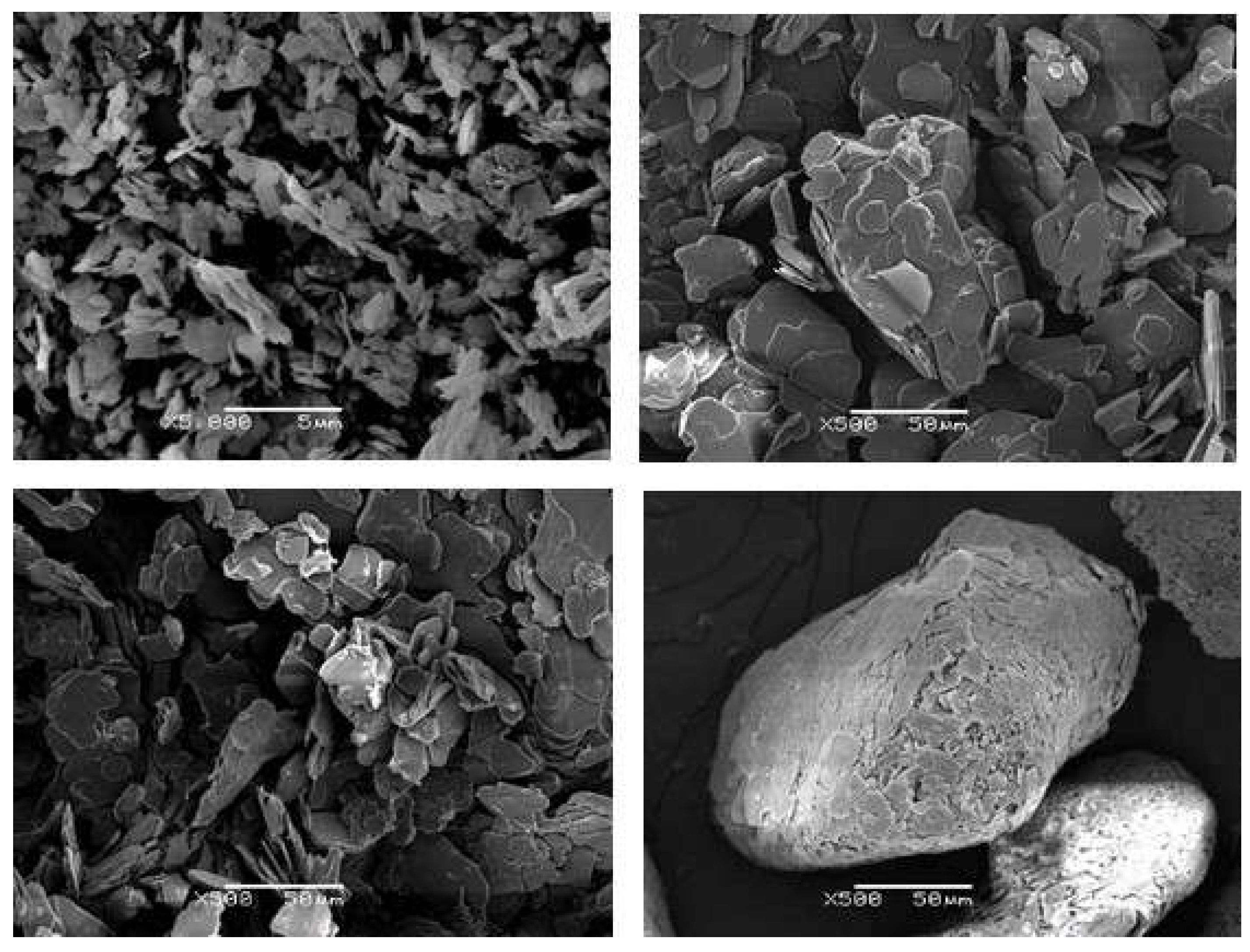 Polymers 13 00955 g001 Polymers 13 00955 g001