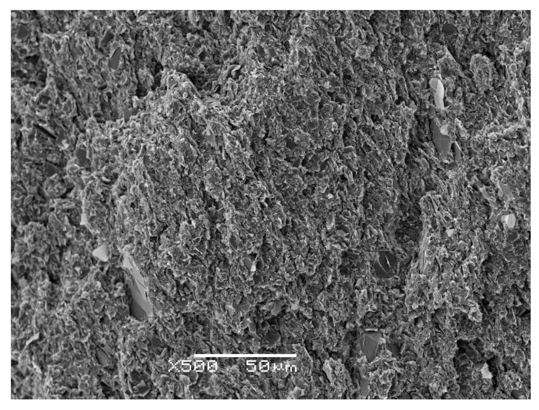 Polymers 13 00955 g002 Polymers 13 00955 g002