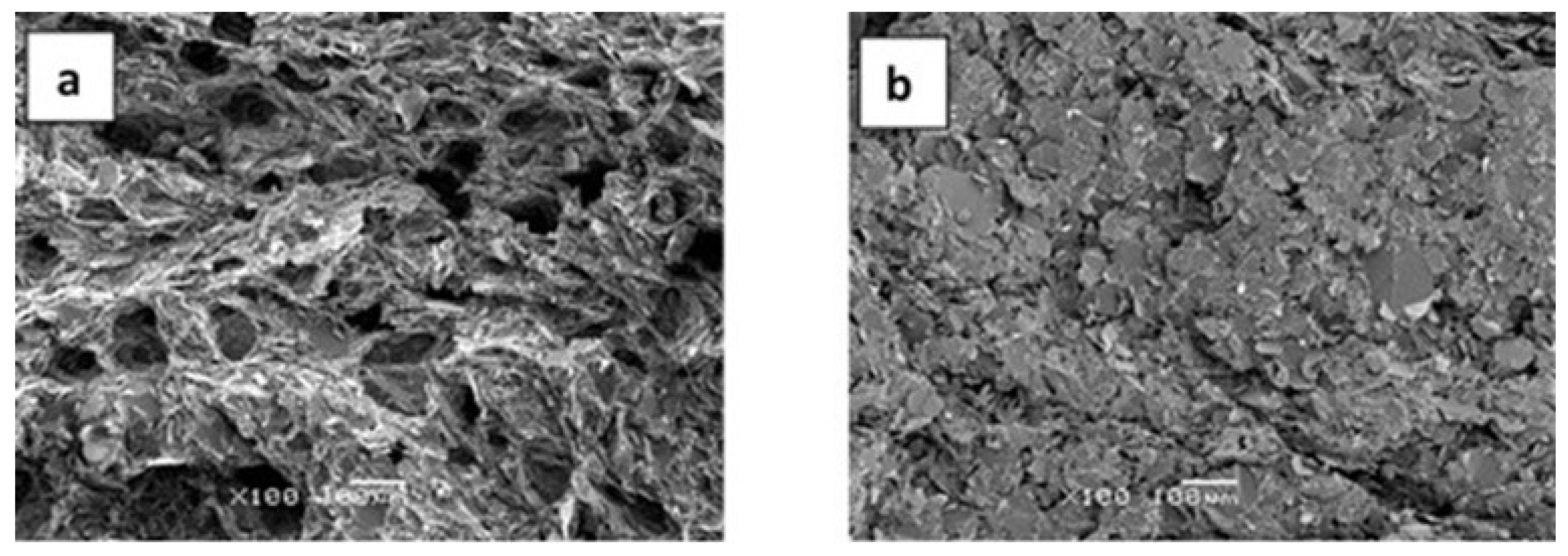 Polymers 13 00955 g006 Polymers 13 00955 g006