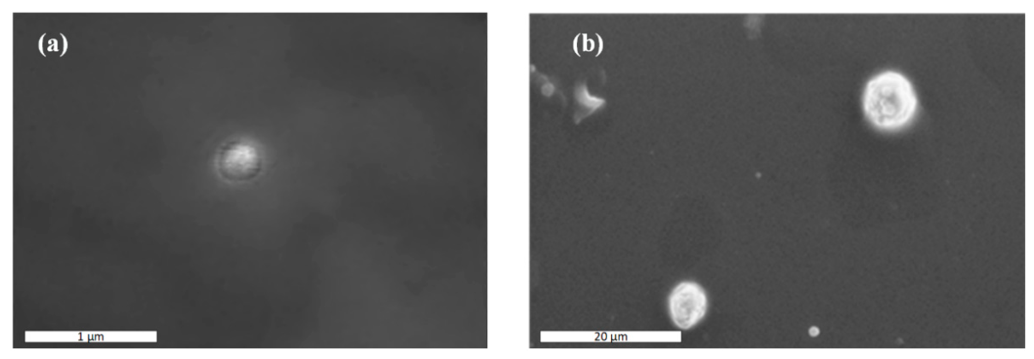 Polymers 13 00960 g004 Polymers 13 00960 g004