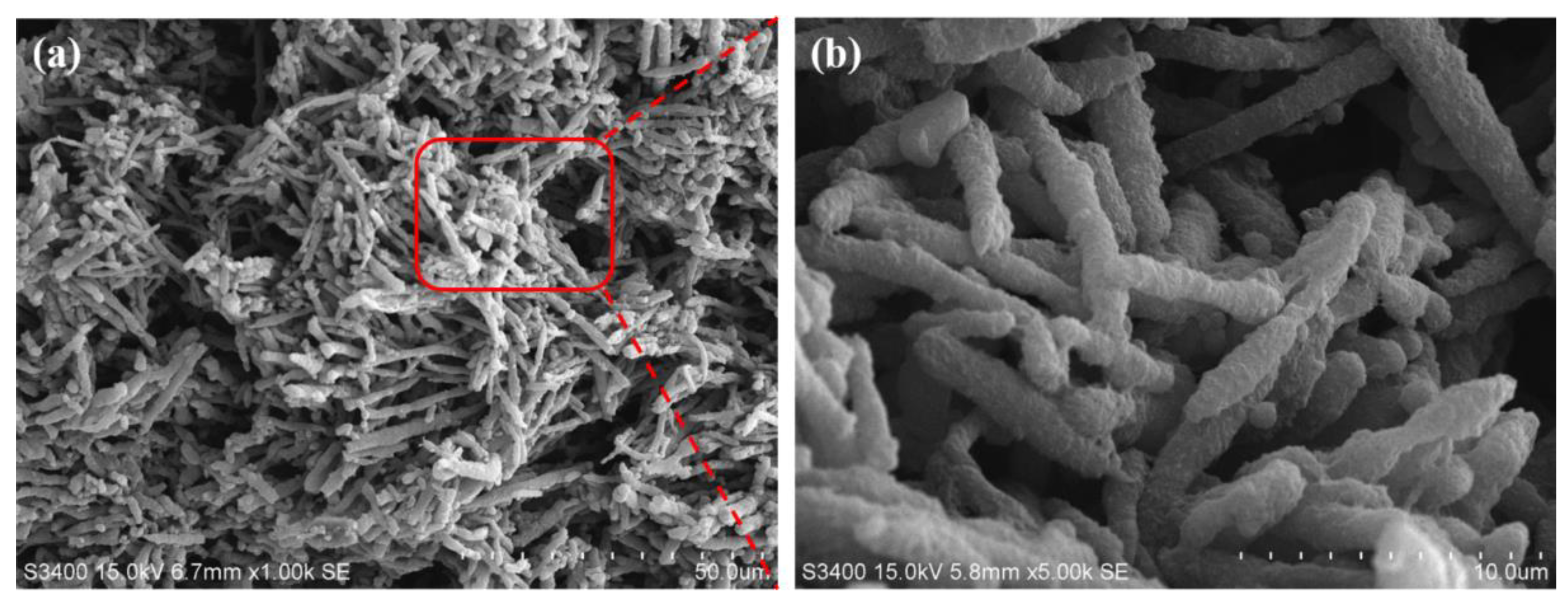 Polymers 13 00961 g002