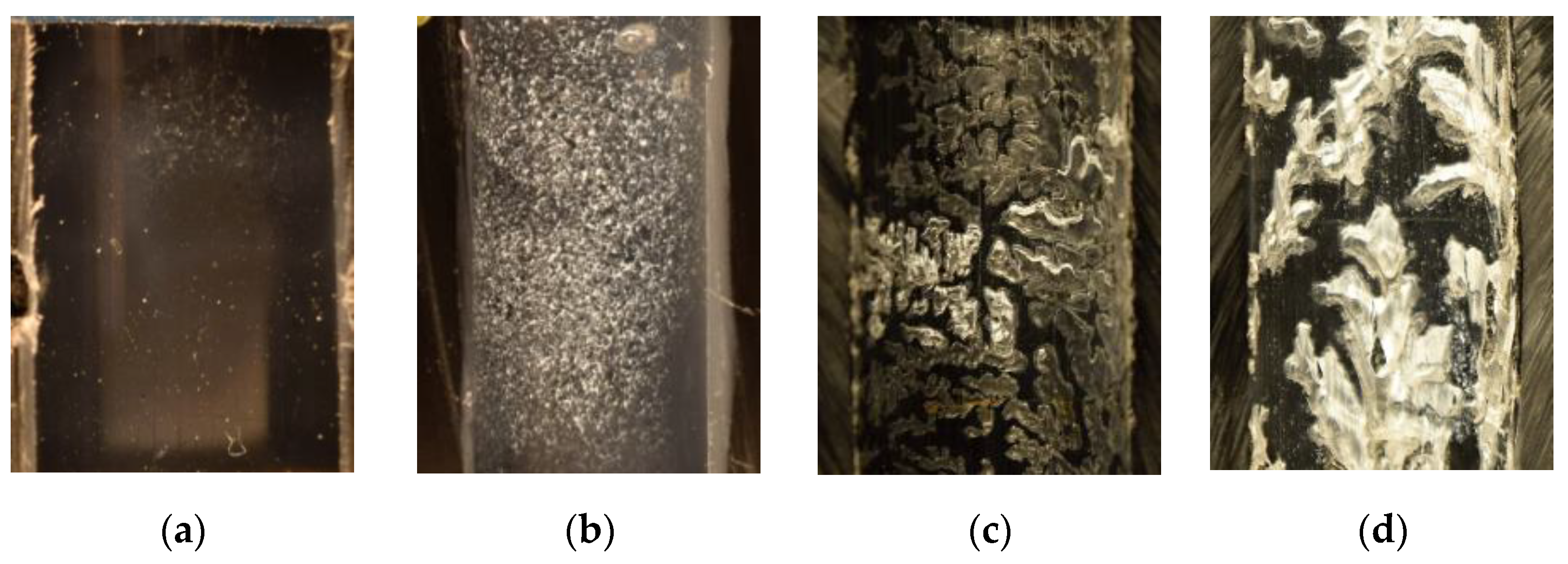 Polymers 13 00965 g007 Polymers 13 00965 g007