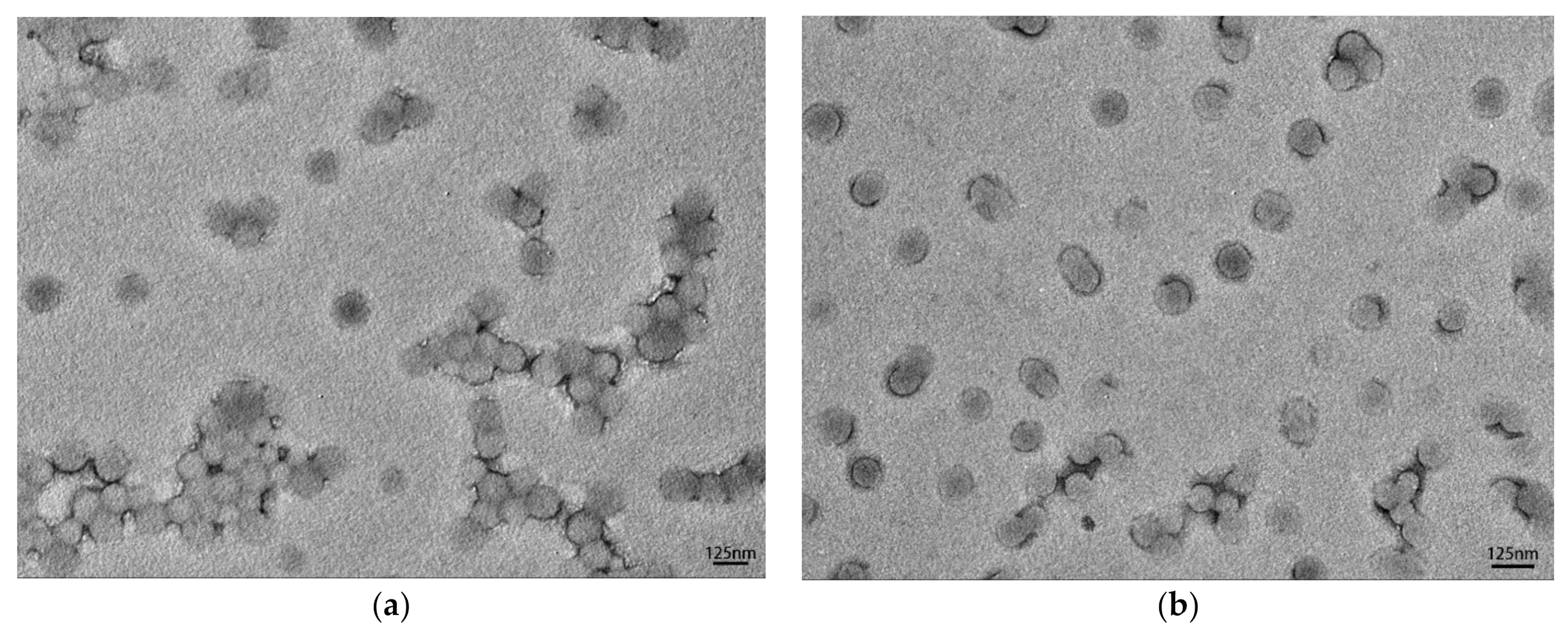Polymers 13 00968 g003