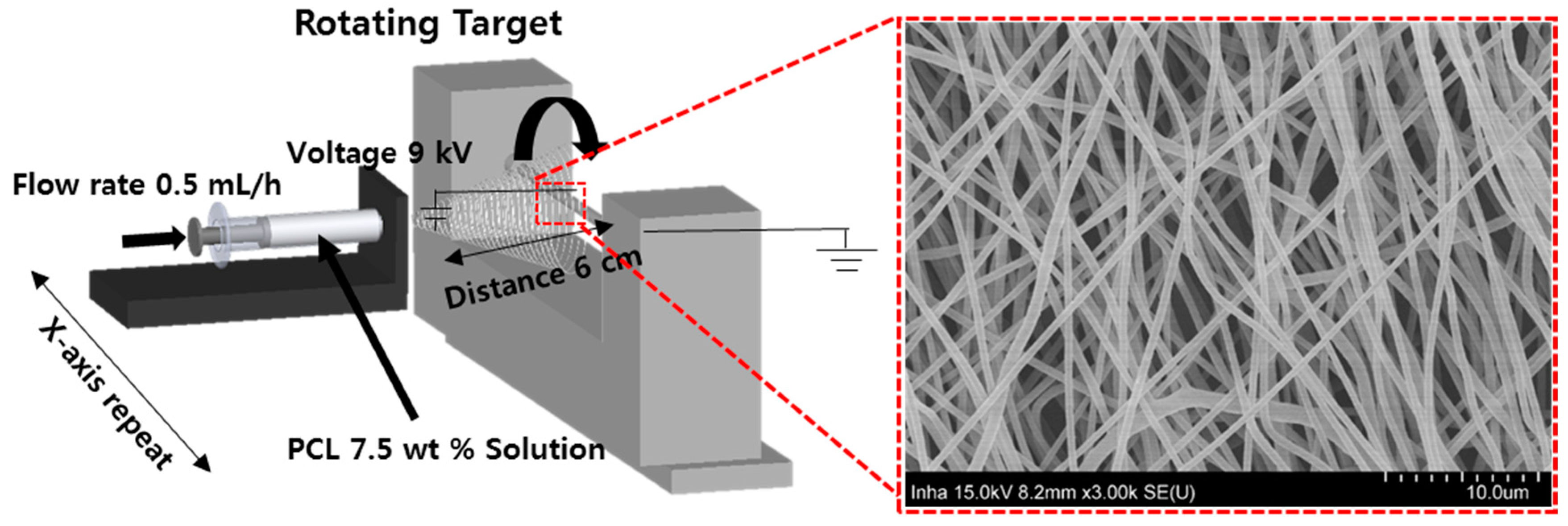 Polymers 13 00971 g002 Polymers 13 00971 g002