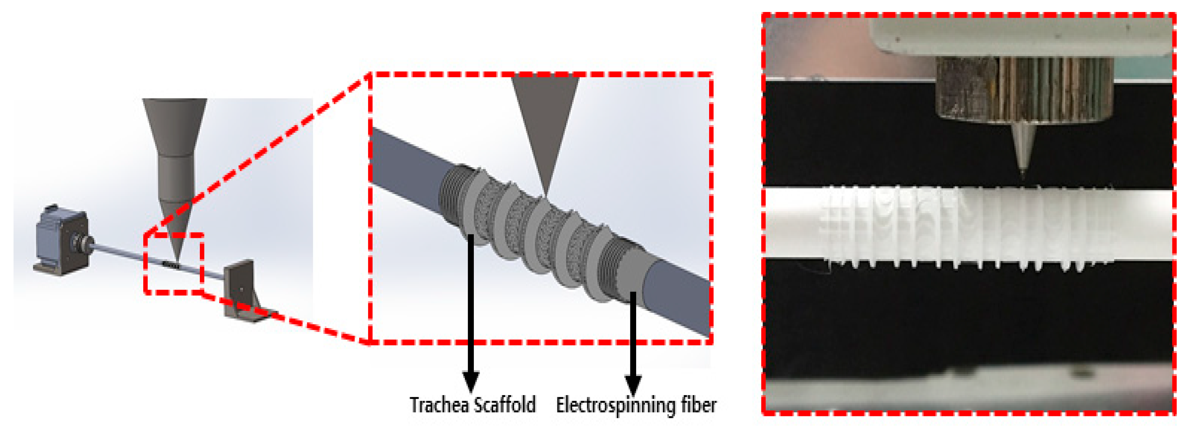 Polymers 13 00971 g004 Polymers 13 00971 g004