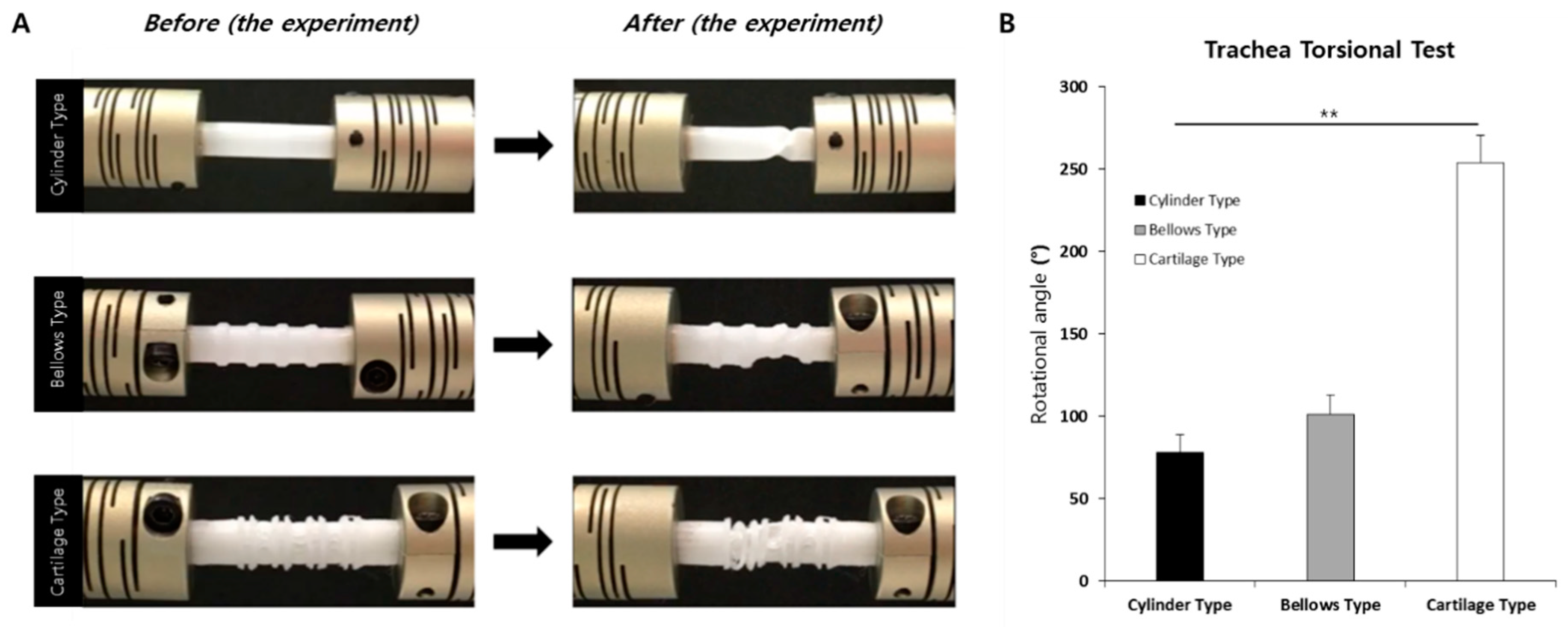 Polymers 13 00971 g009 Polymers 13 00971 g009