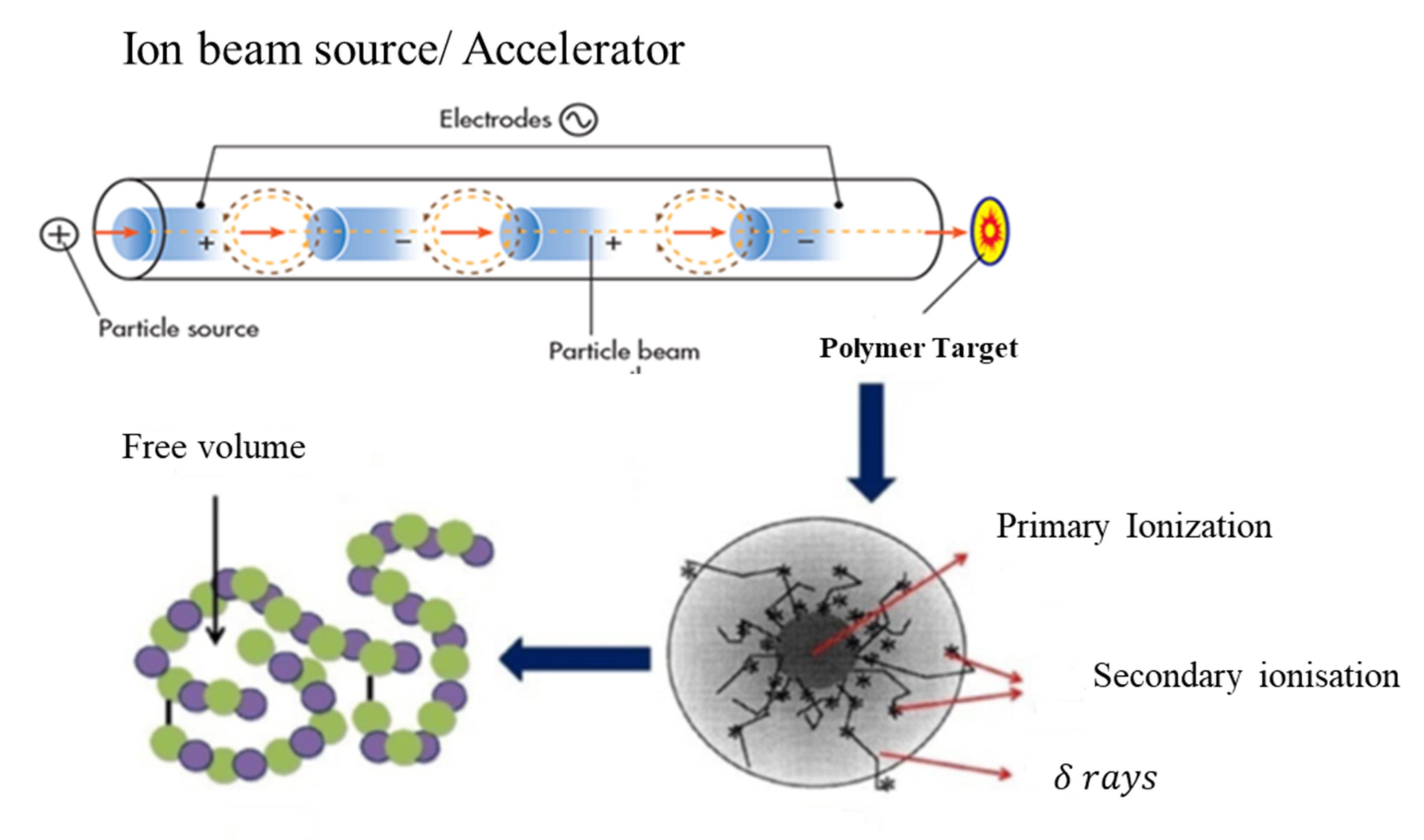Polymers 13 00973 g001 Polymers 13 00973 g001