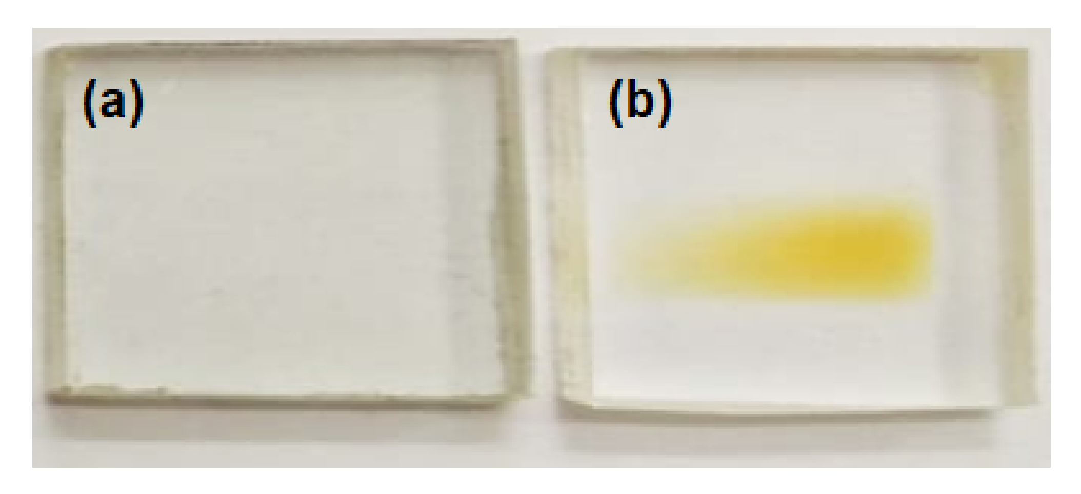 Polymers 13 00973 g002 Polymers 13 00973 g002