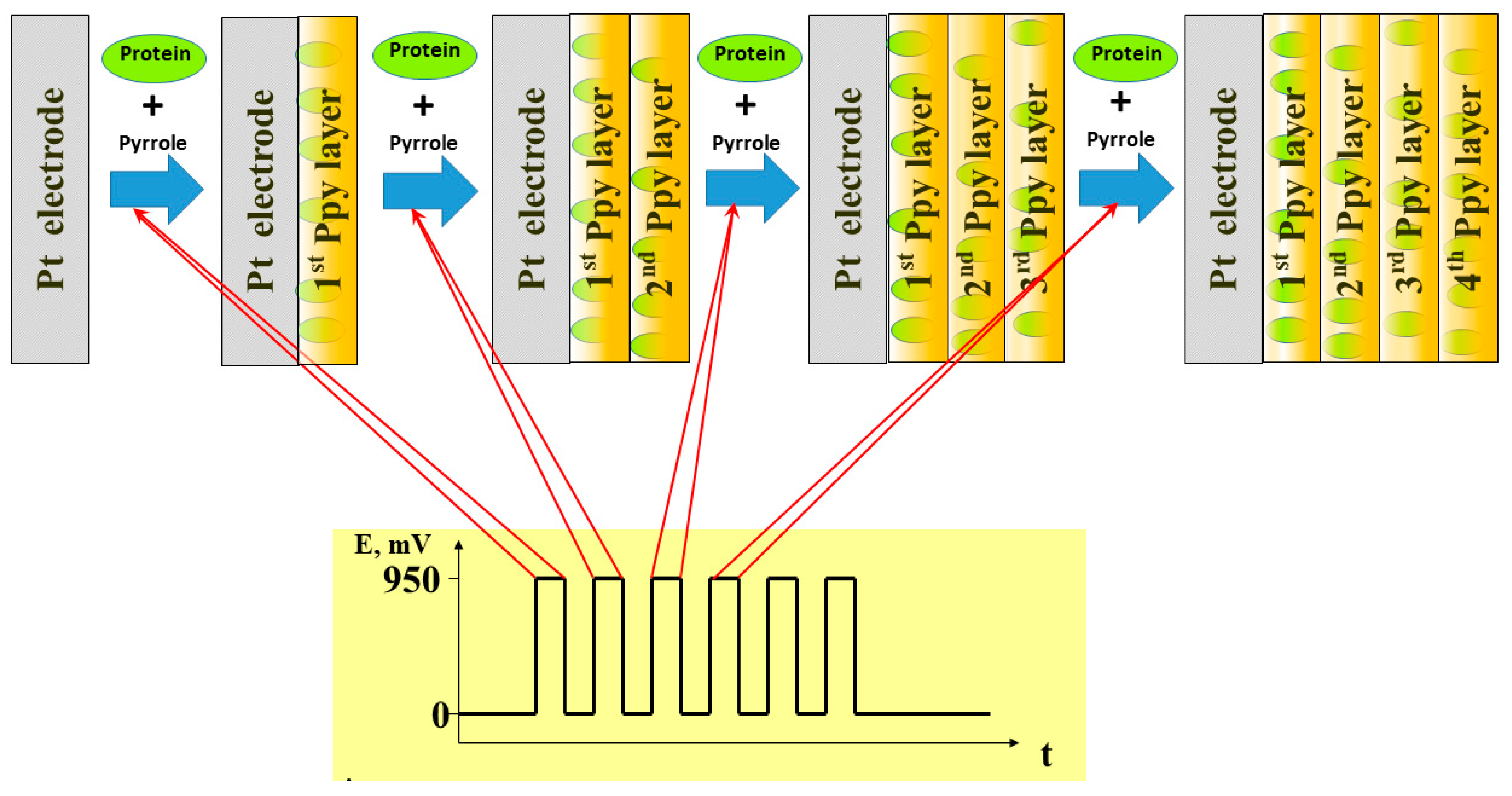 Polymers 13 00974 g004