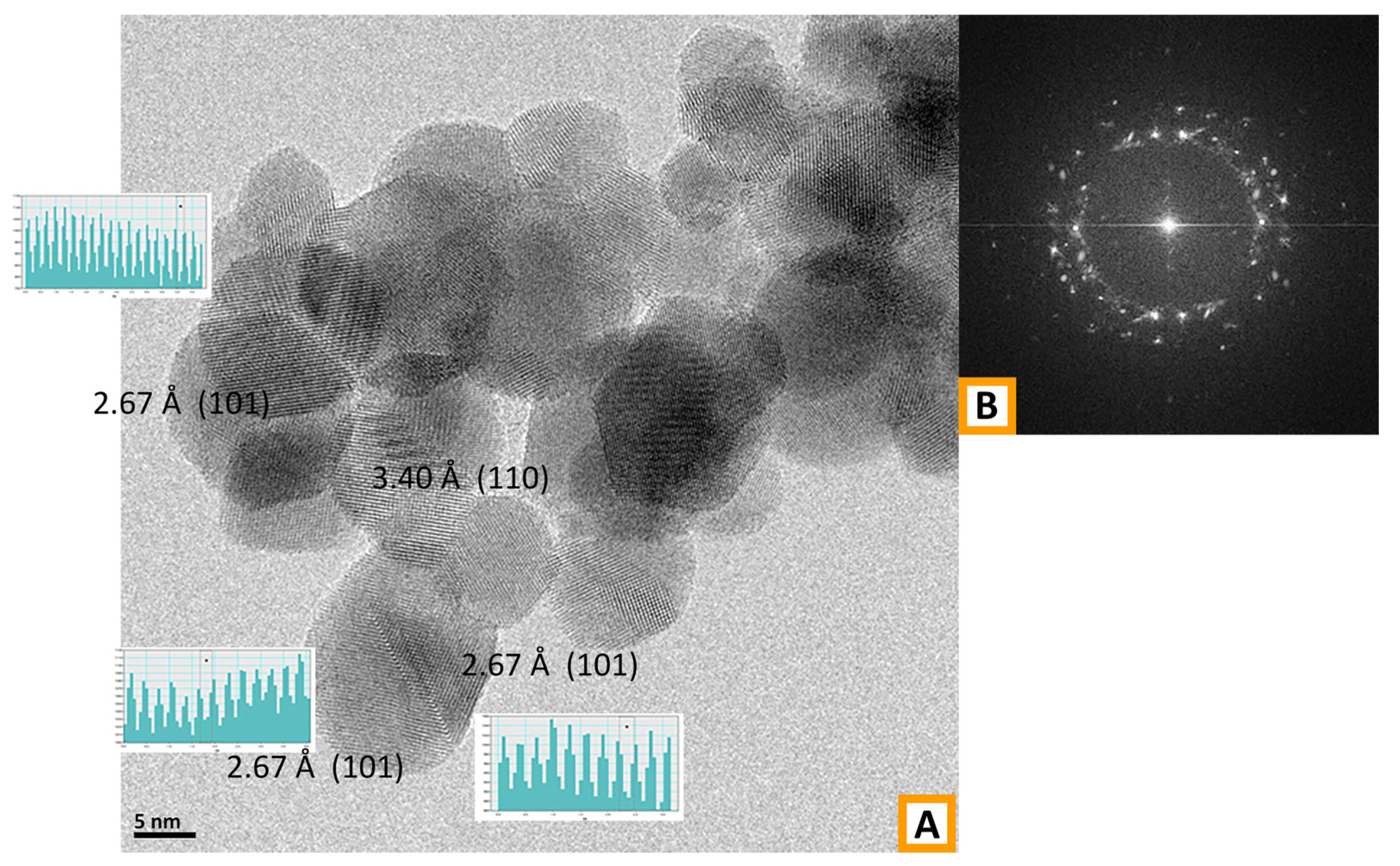 Polymers 13 00977 g007 Polymers 13 00977 g007