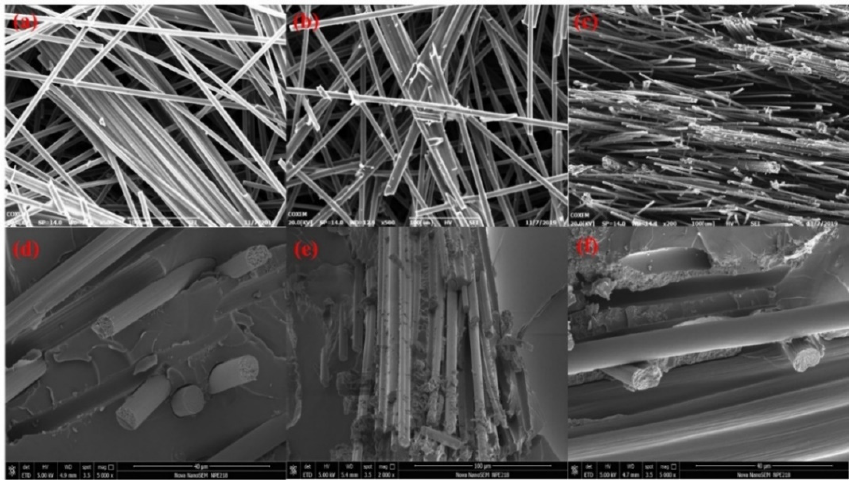 Polymers 13 00980 g005 Polymers 13 00980 g005