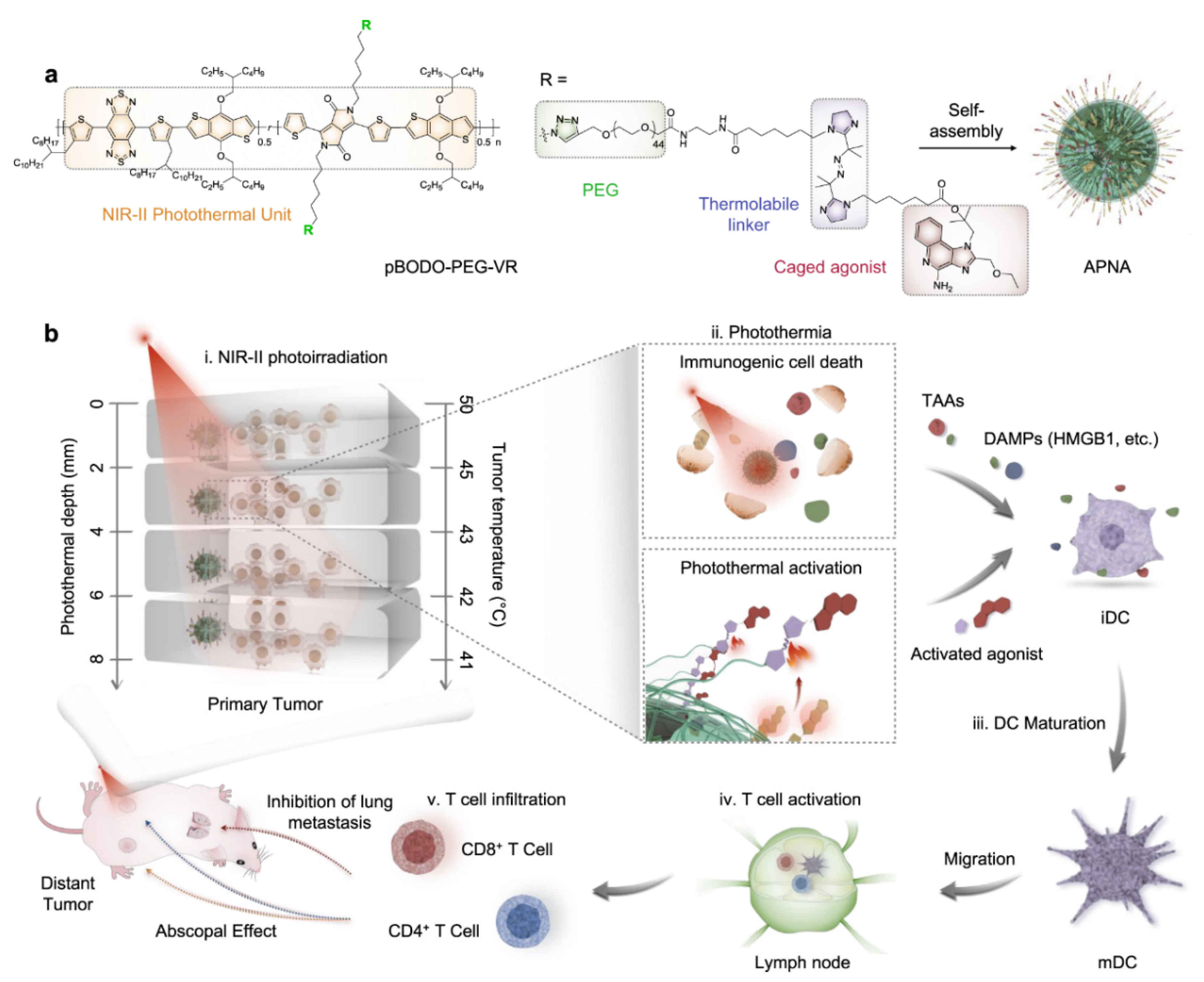Polymers 13 00981 g008 Polymers 13 00981 g008