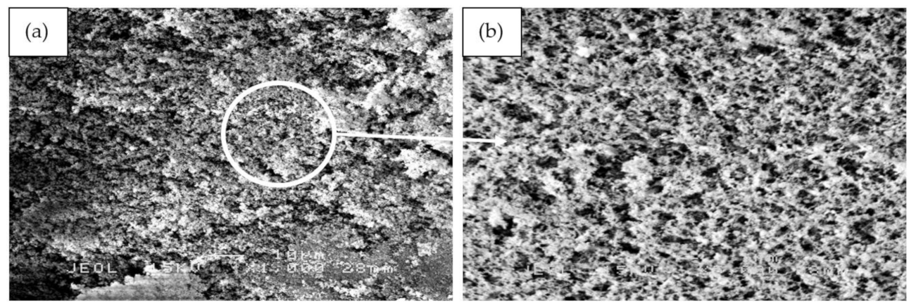 Polymers 13 00985 g012a Polymers 13 00985 g012a
