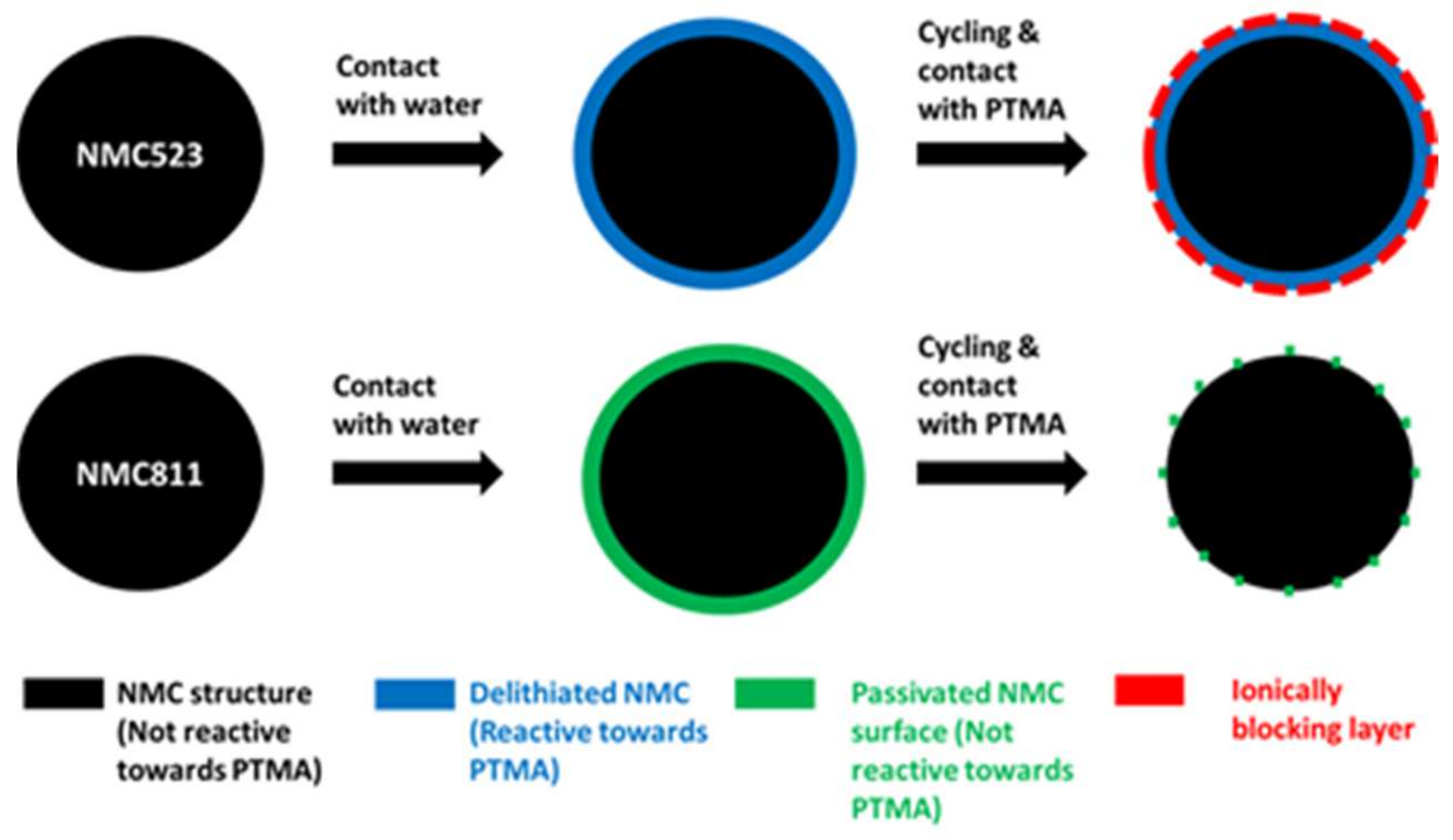 Polymers 13 00986 g012