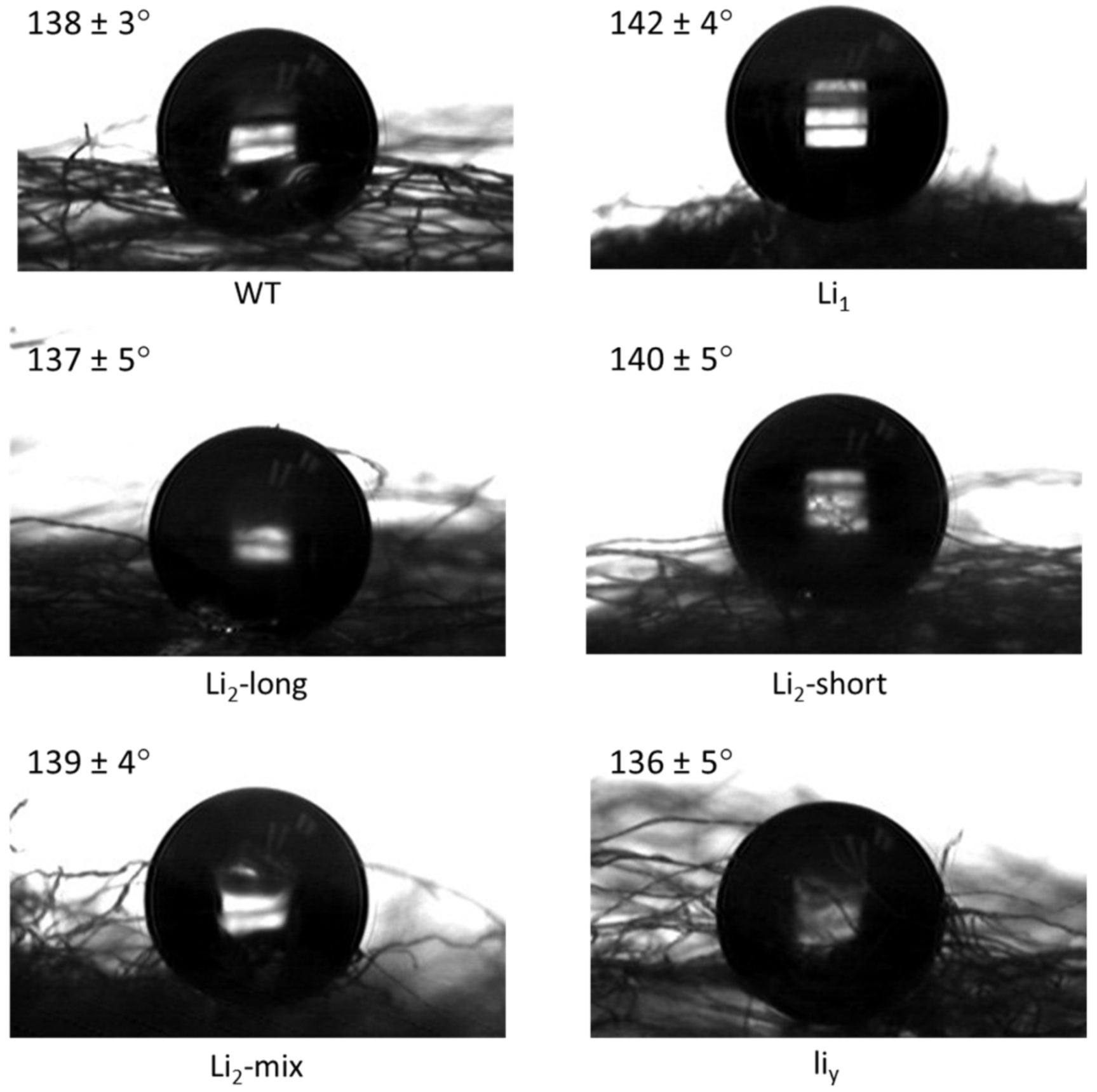 Polymers 13 00994 g006 Polymers 13 00994 g006