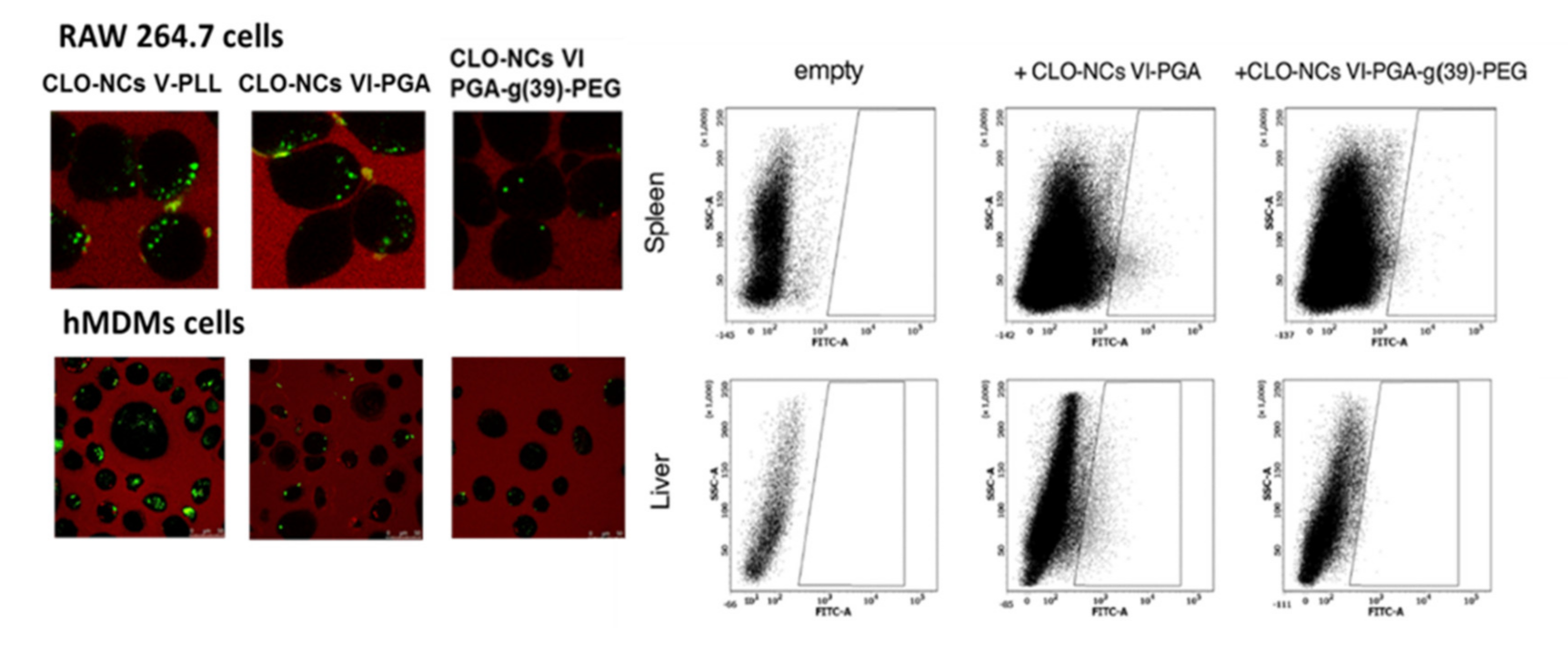 Polymers 13 01000 g004 Polymers 13 01000 g004