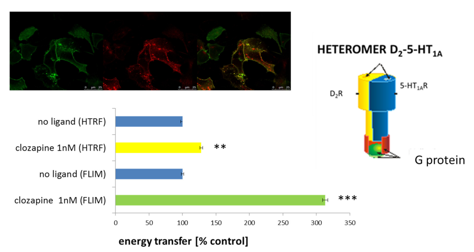 Polymers 13 01000 g006 Polymers 13 01000 g006