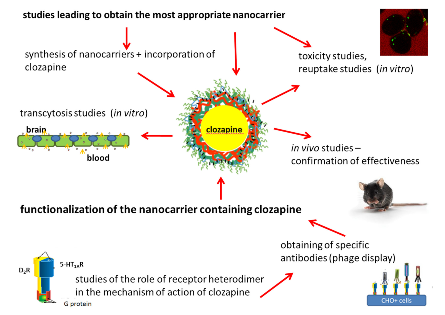 Polymers 13 01000 g008 Polymers 13 01000 g008