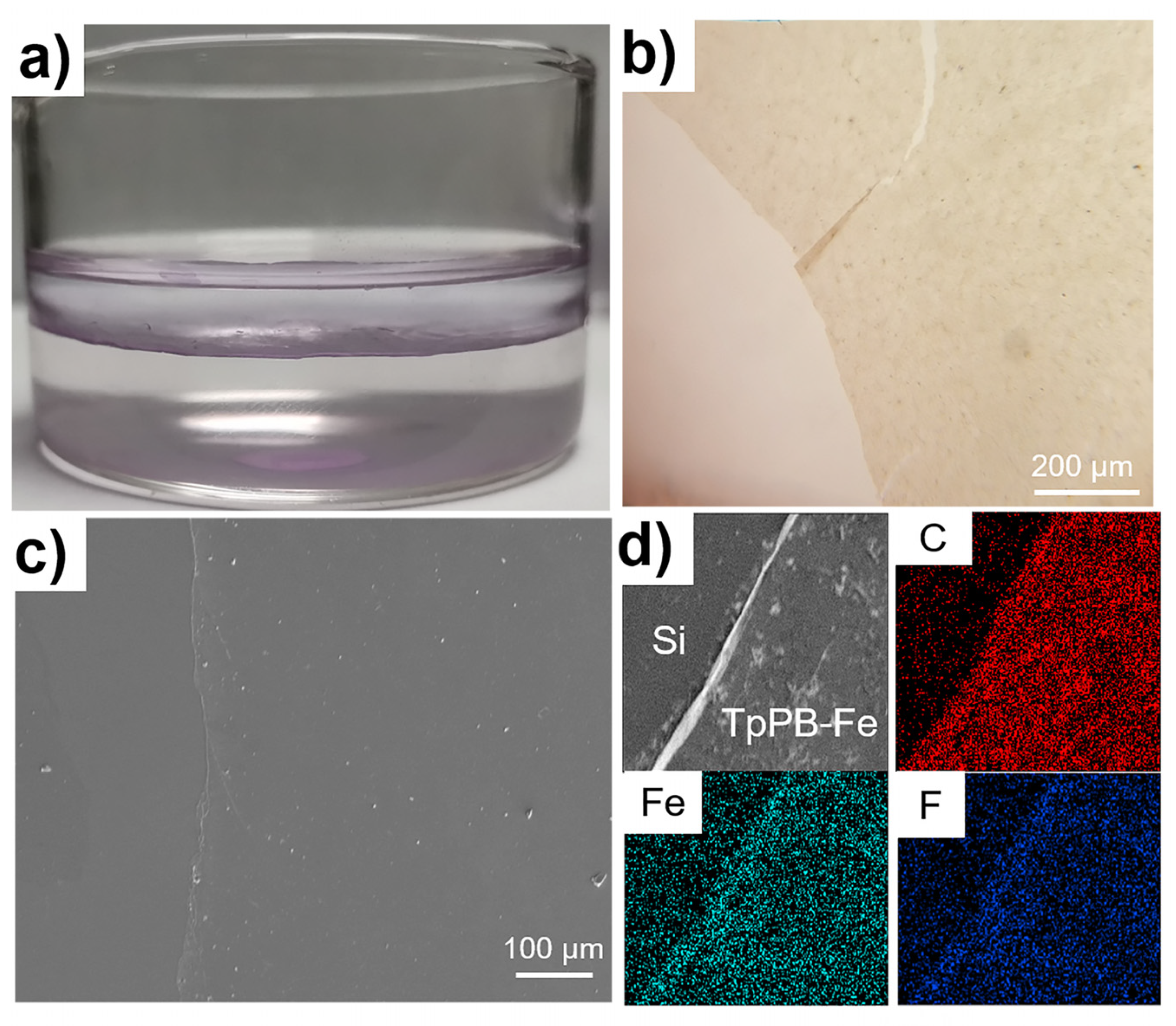 Polymers 13 01002 g002