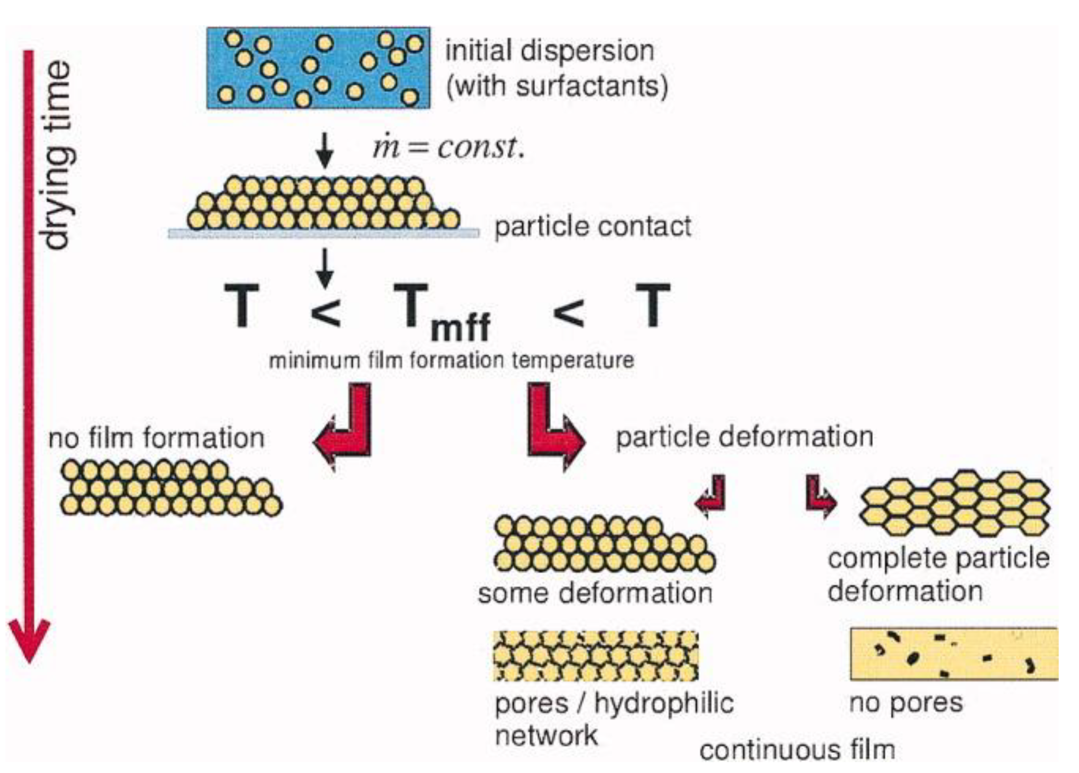 Polymers 13 01003 g001 Polymers 13 01003 g001