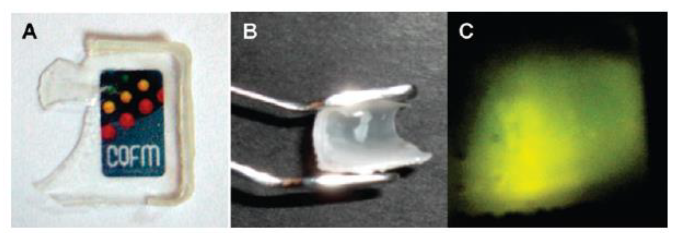 Polymers 13 01003 g010 Polymers 13 01003 g010