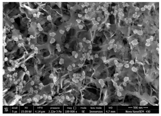 polymers free full text antimicrobial hexaaquacopper ii complexes with novel polyiodide chains html