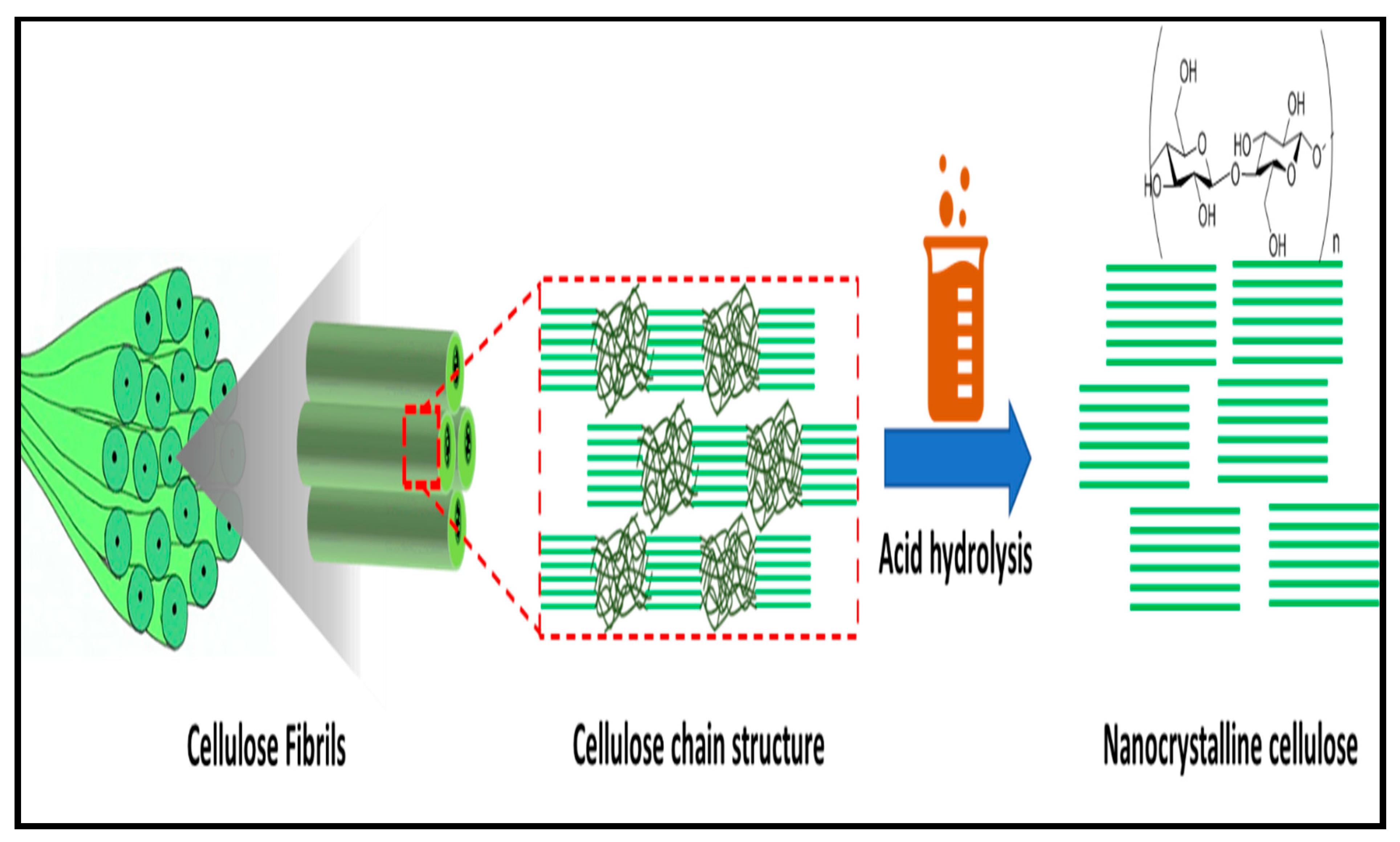 Polymers 13 01006 g009