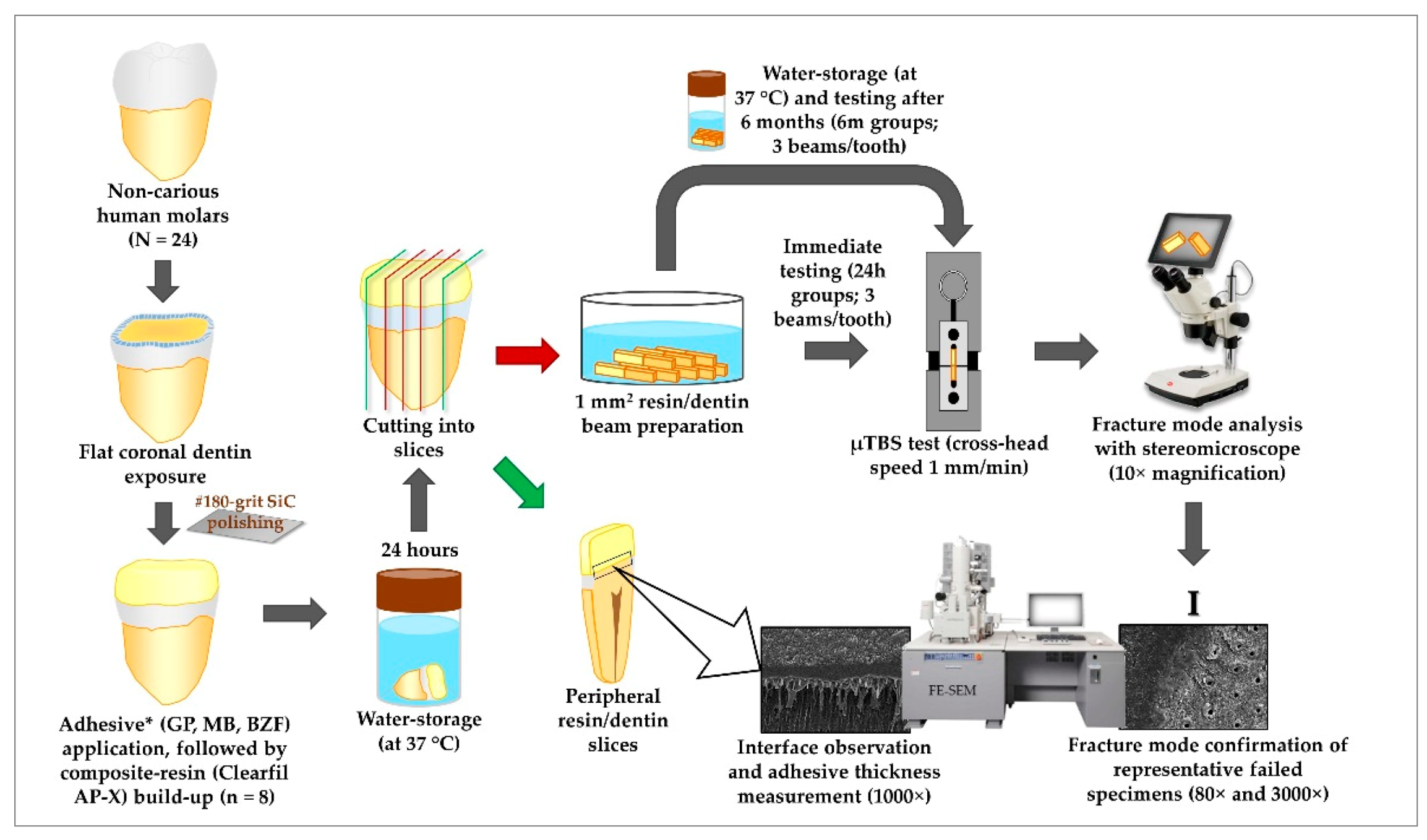 Polymers Free FullText Characterization of an Experimental Two