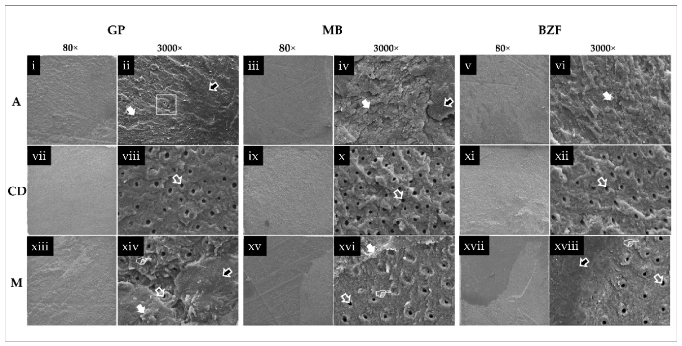 Polymers 13 01009 g003 Polymers 13 01009 g003