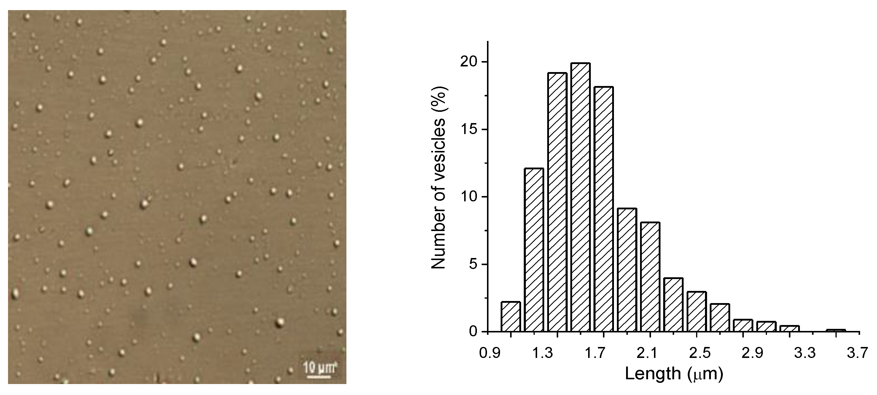 Polymers 13 01010 g001