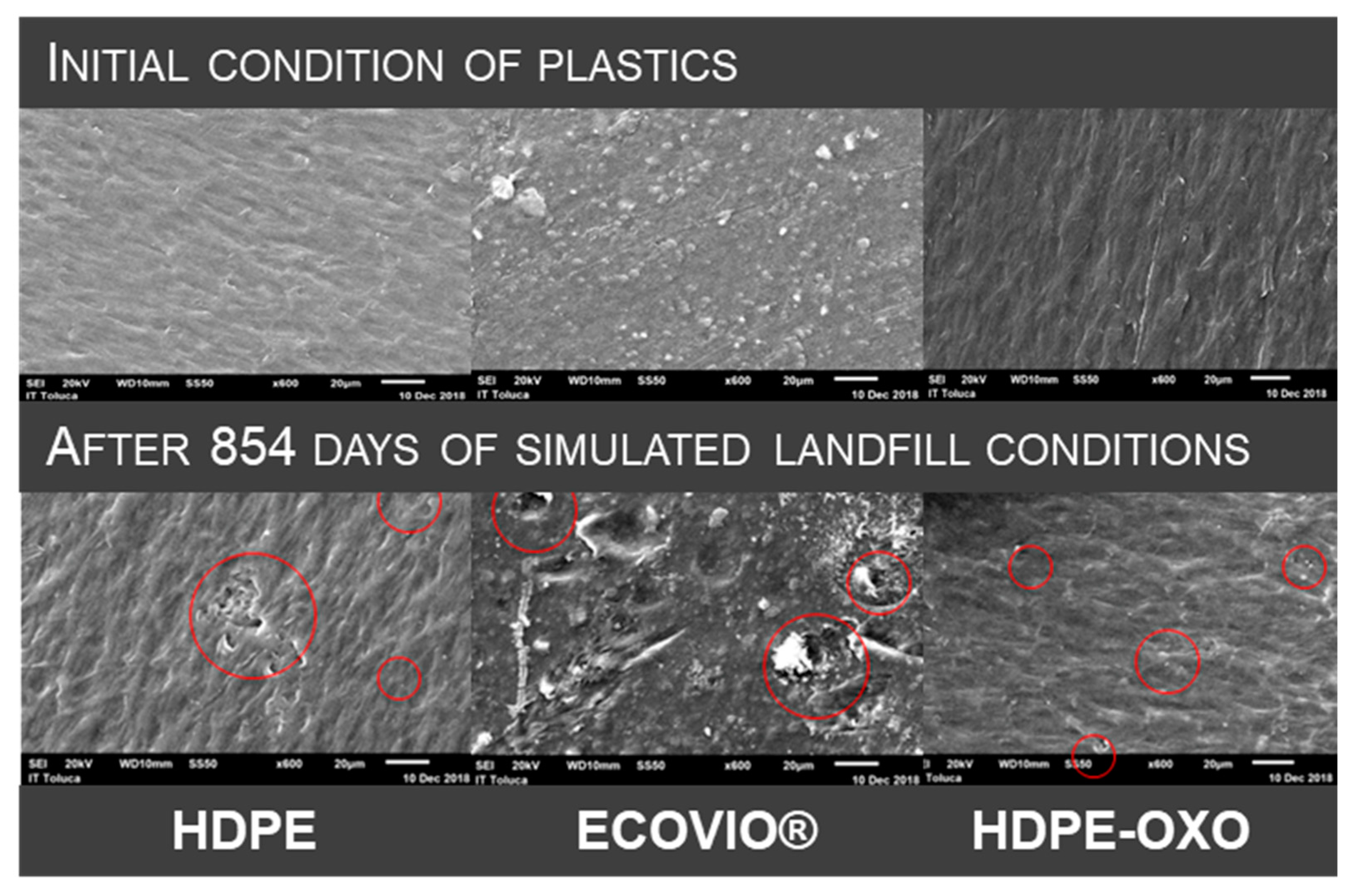 Polymers 13 01014 g004 Polymers 13 01014 g004