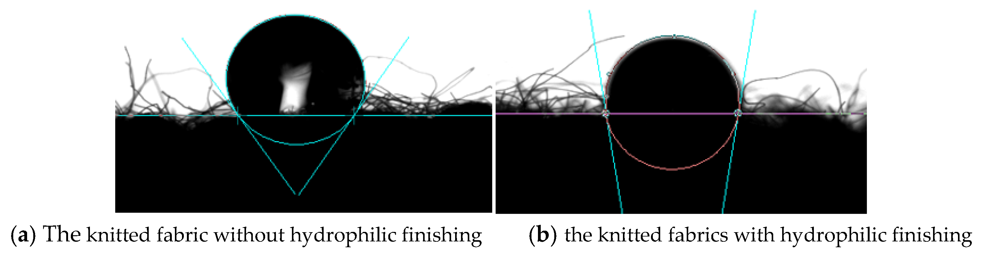 Polymers 13 01015 g003