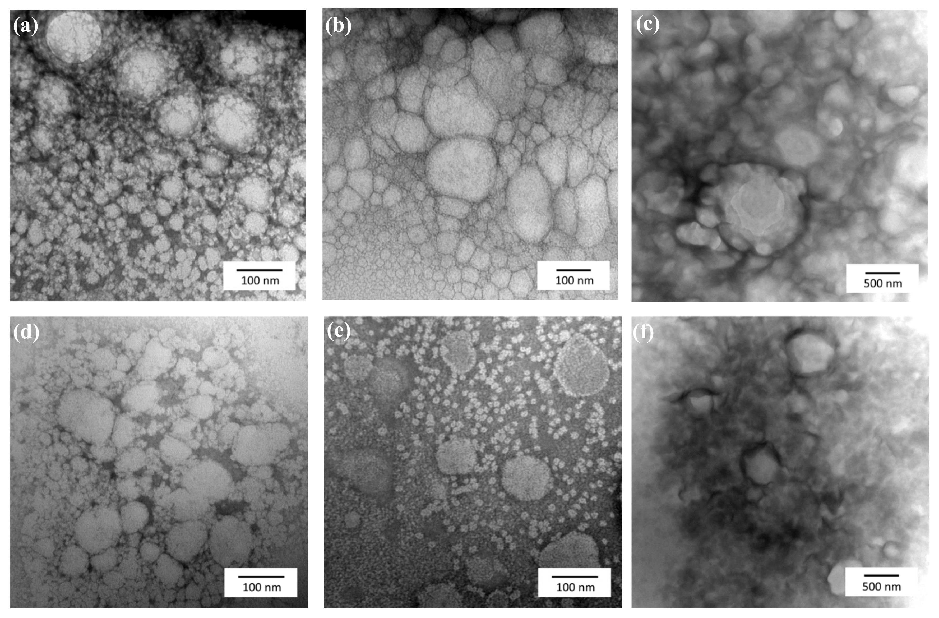Polymers 13 01016 g001 Polymers 13 01016 g001