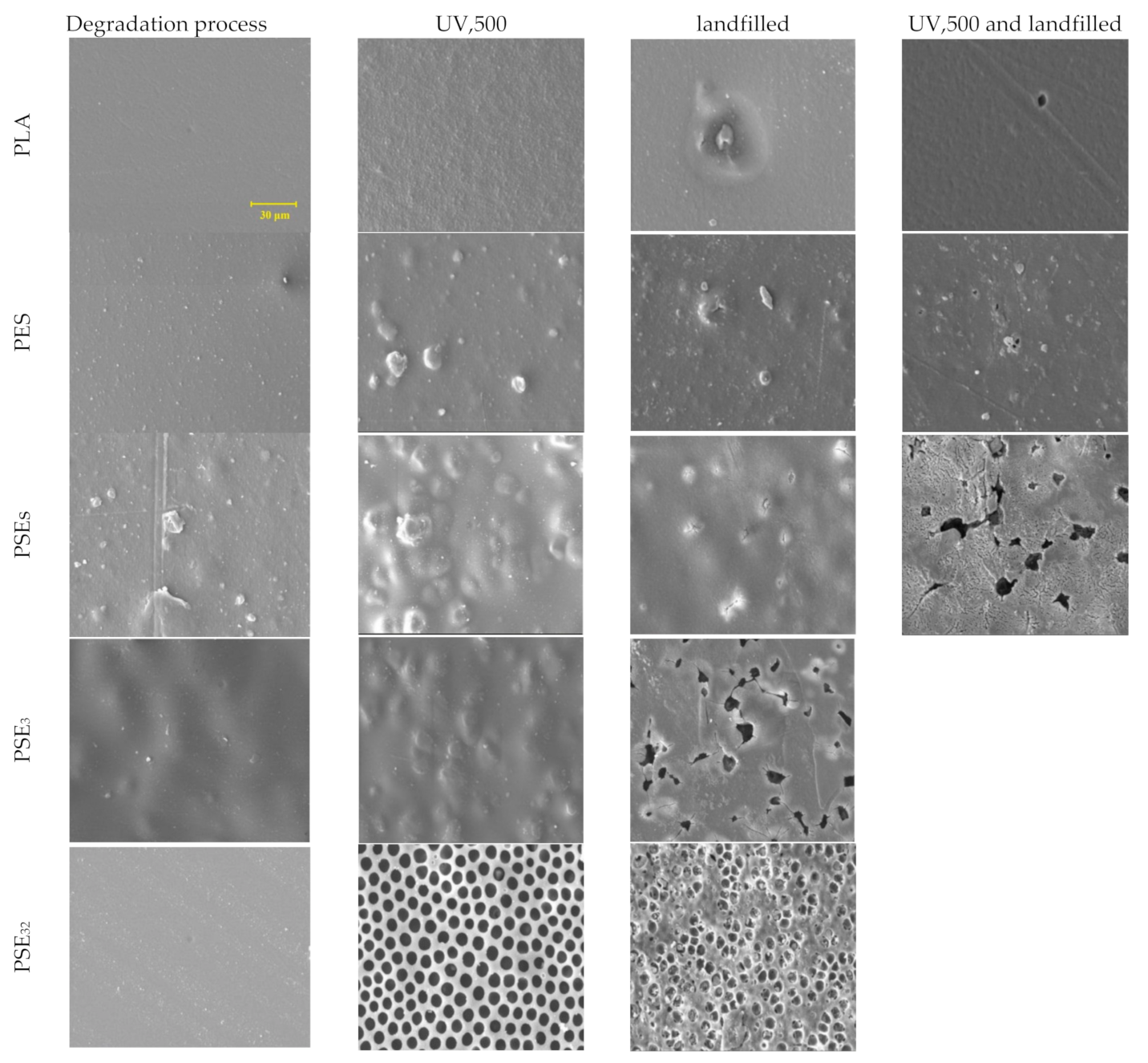 Polymers 13 01019 g002