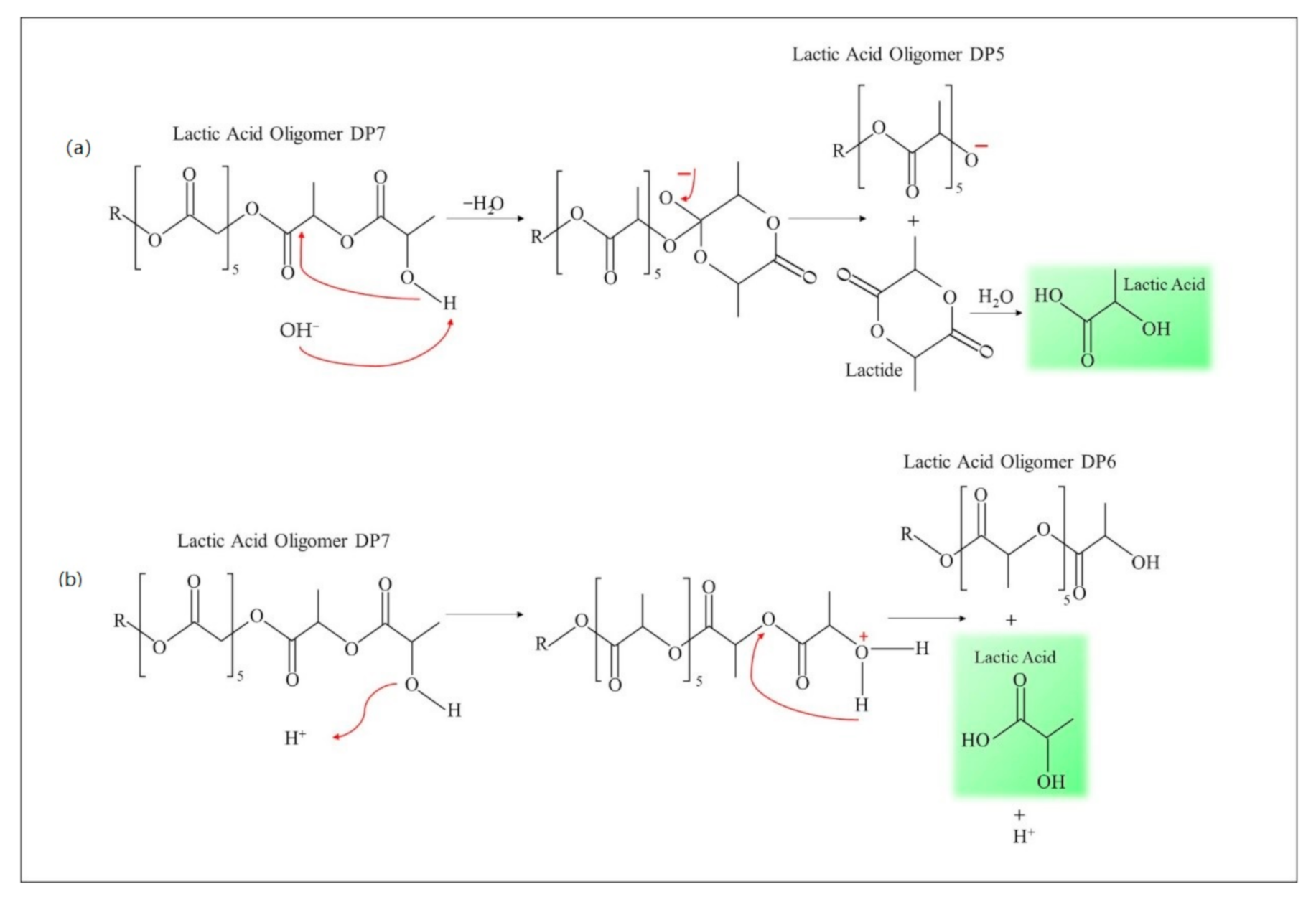 Polymers 13 01019 g006