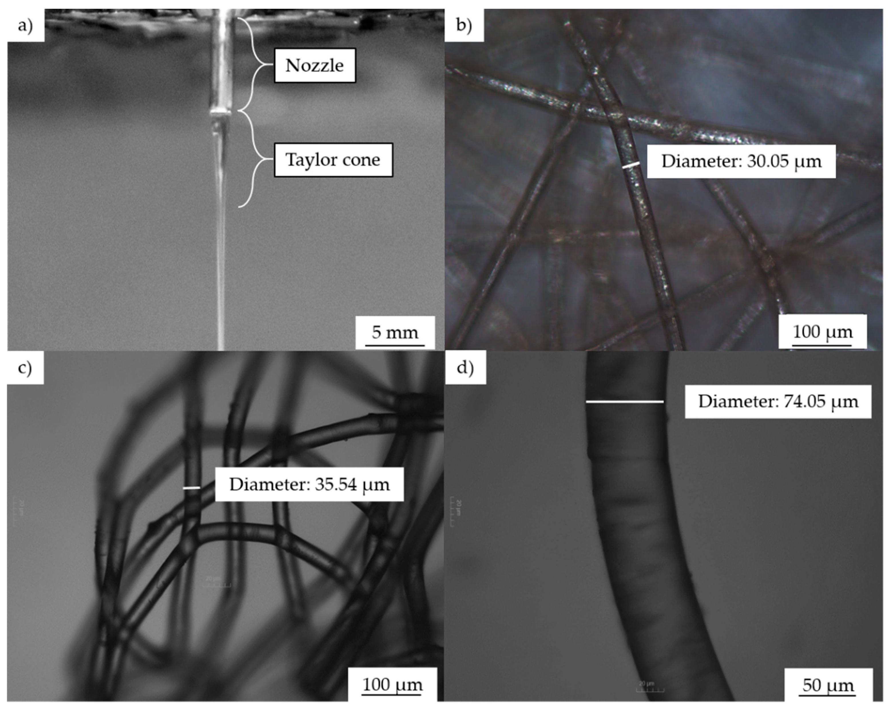 Polymers 13 01024 g010