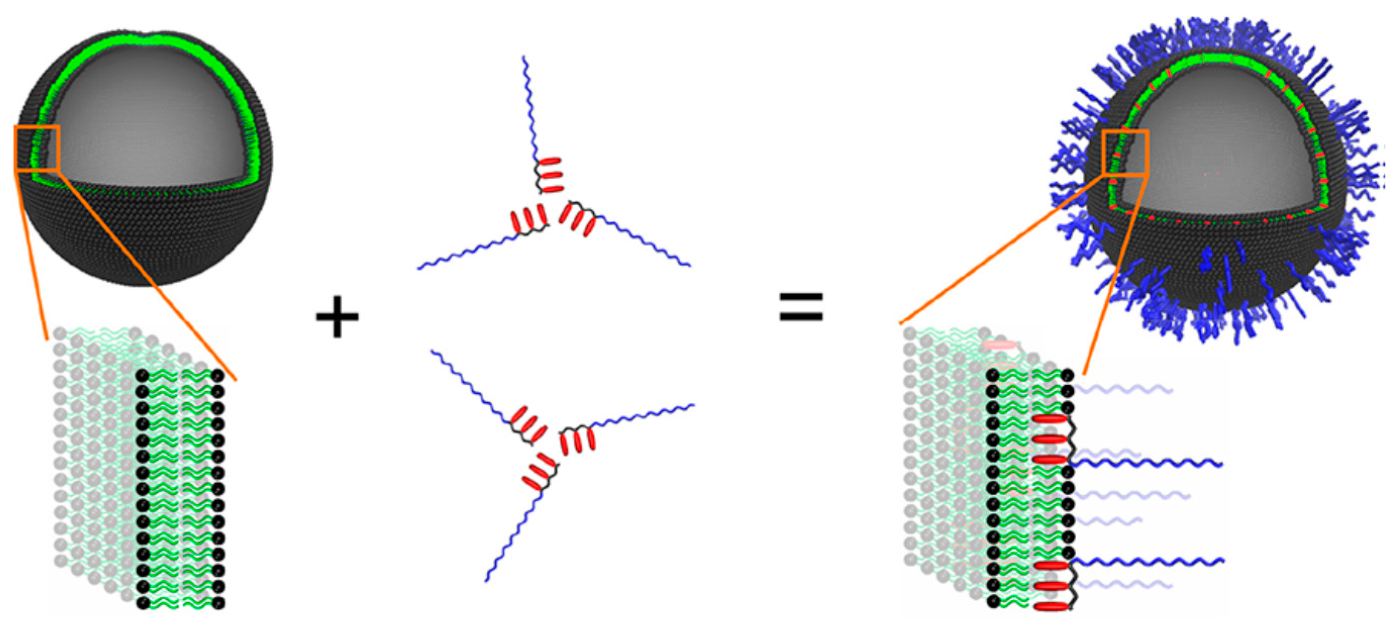 Polymers 13 01027 g003