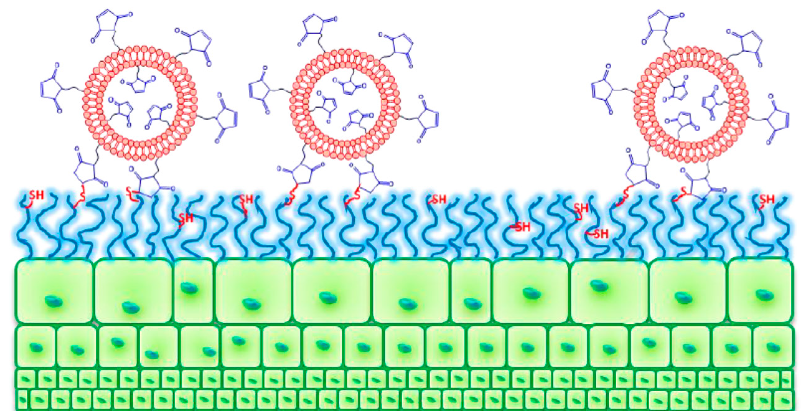 Polymers 13 01027 g006