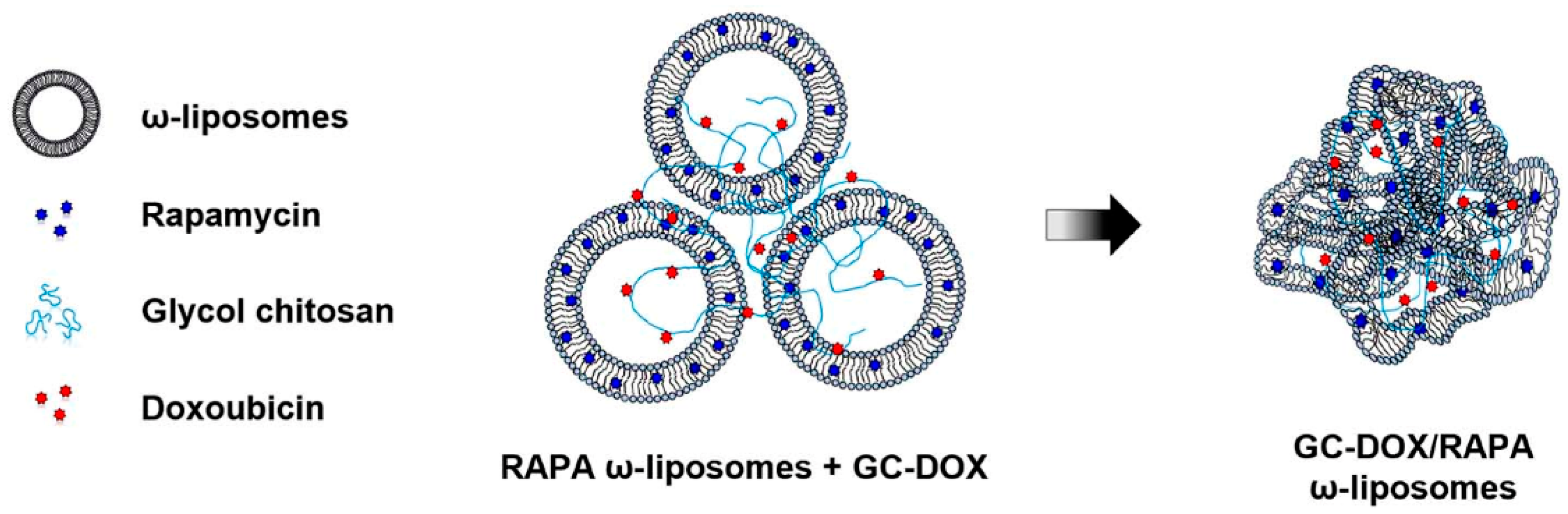 Polymers 13 01027 g010