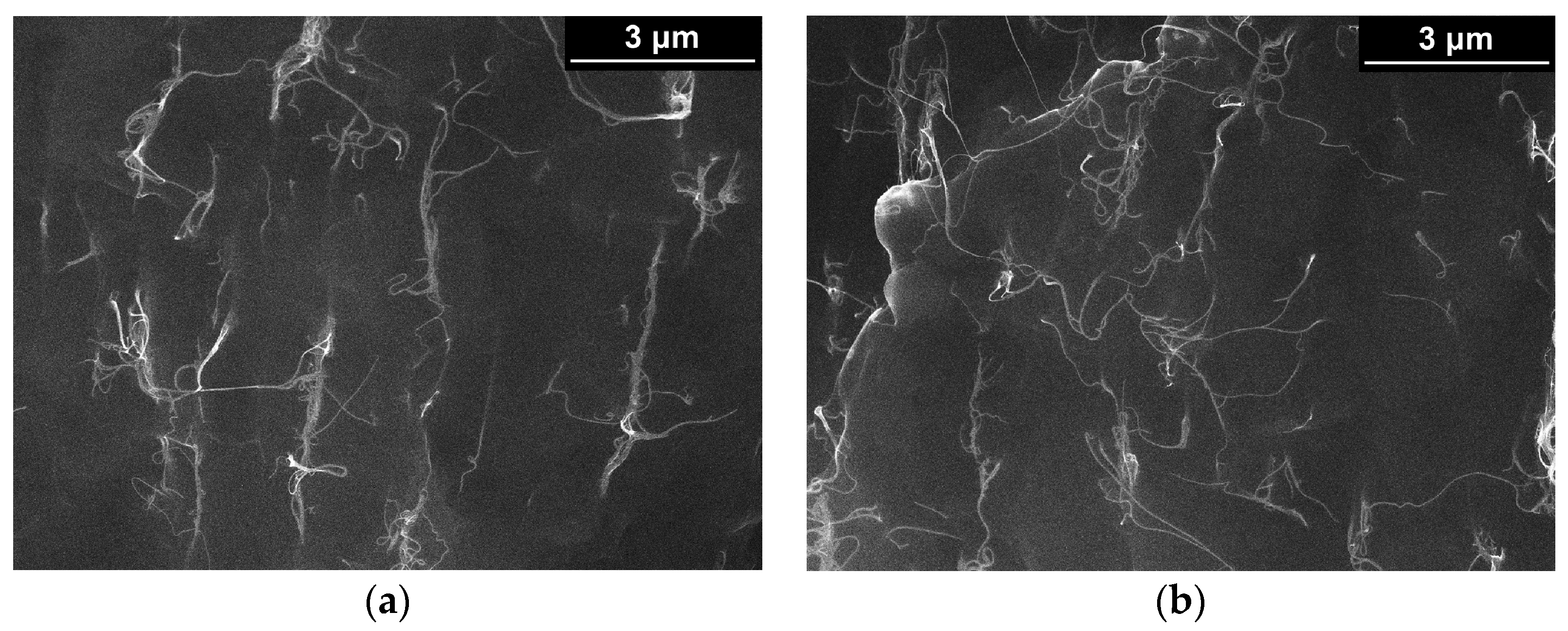 Polymers 13 01030 g011a